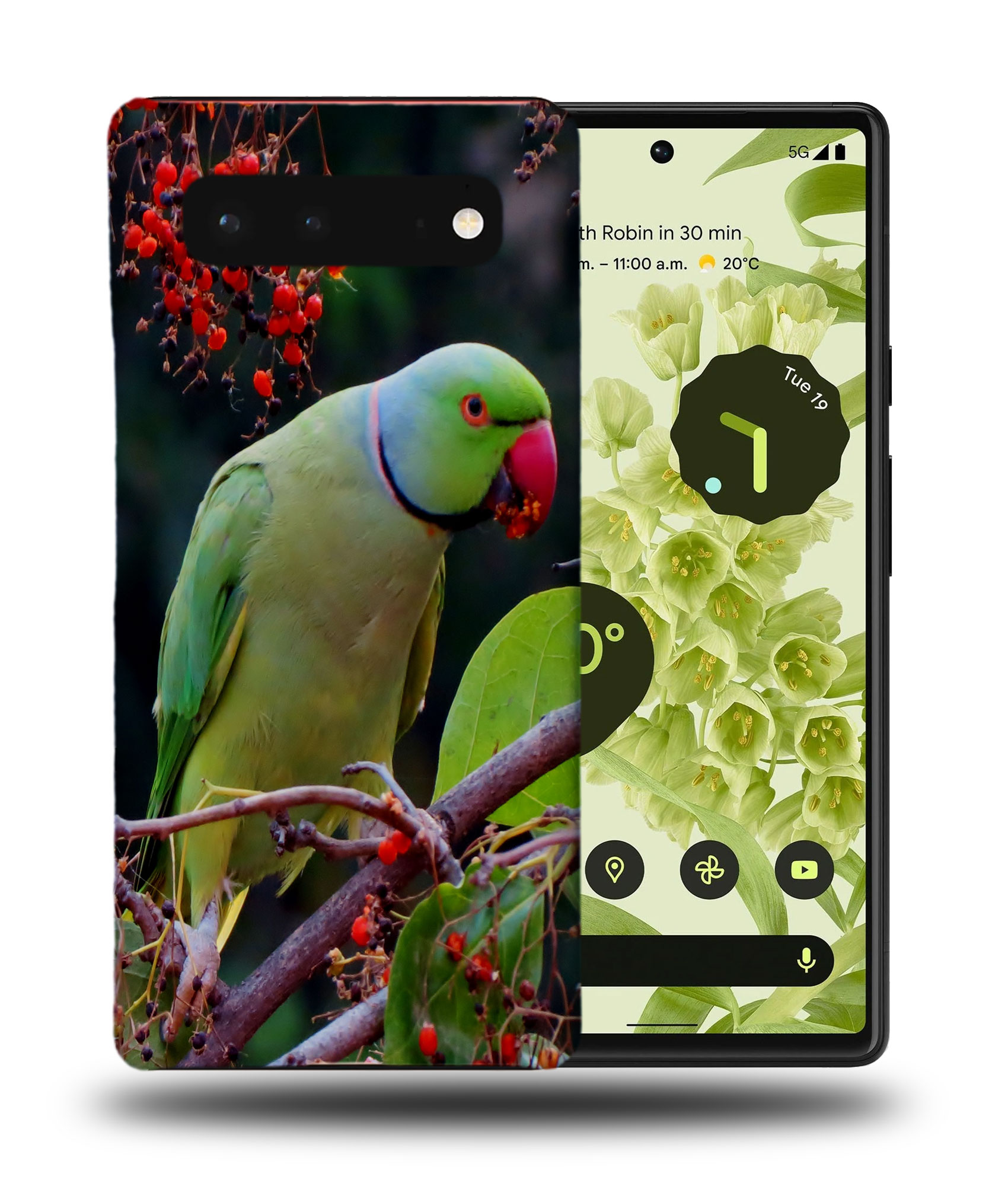 CASE COVER FOR GOOGLE PIXEL|CUTE GREEN PARROT BIRD - Picture 3 of 11