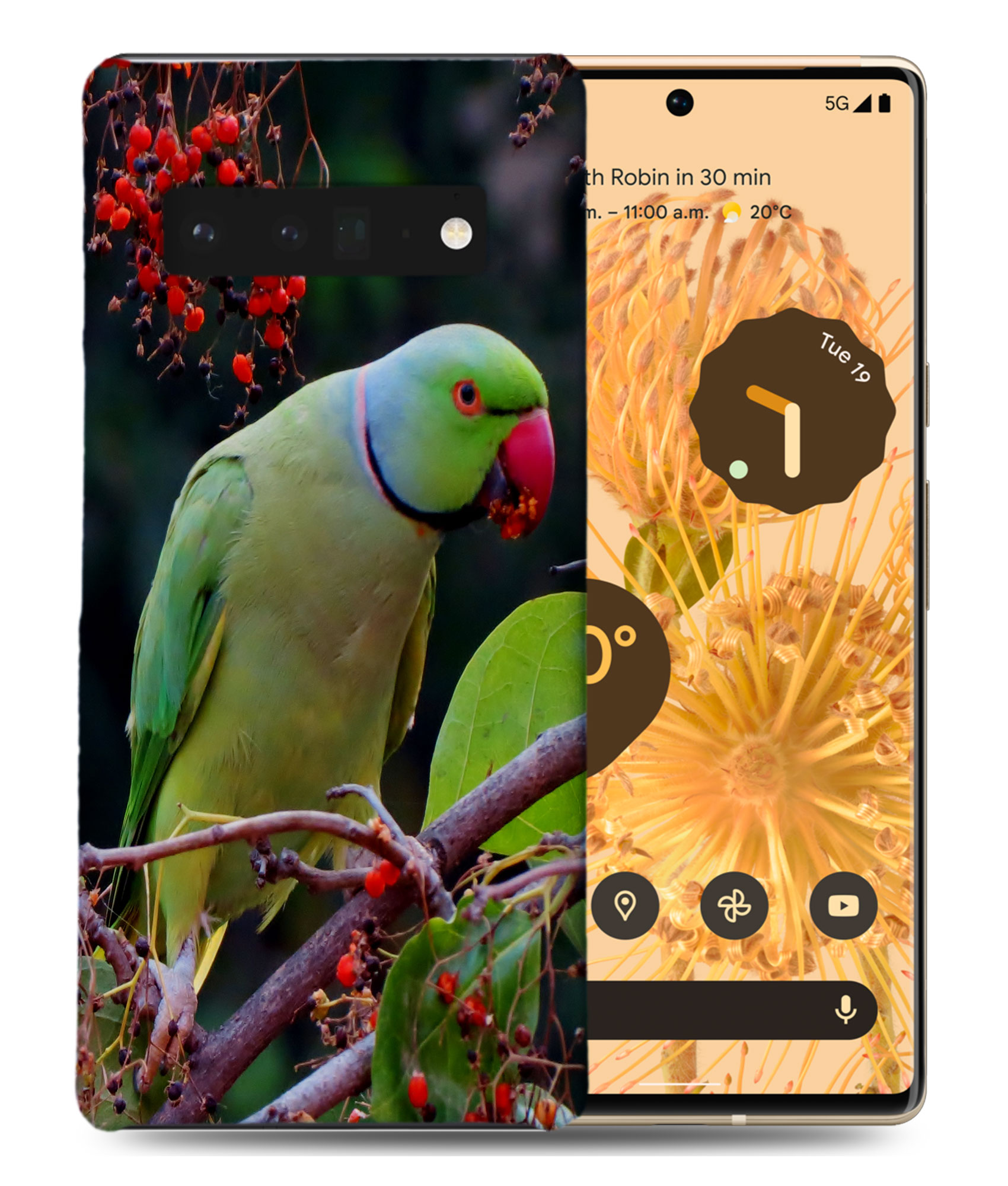 CASE COVER FOR GOOGLE PIXEL|CUTE GREEN PARROT BIRD - Picture 2 of 11
