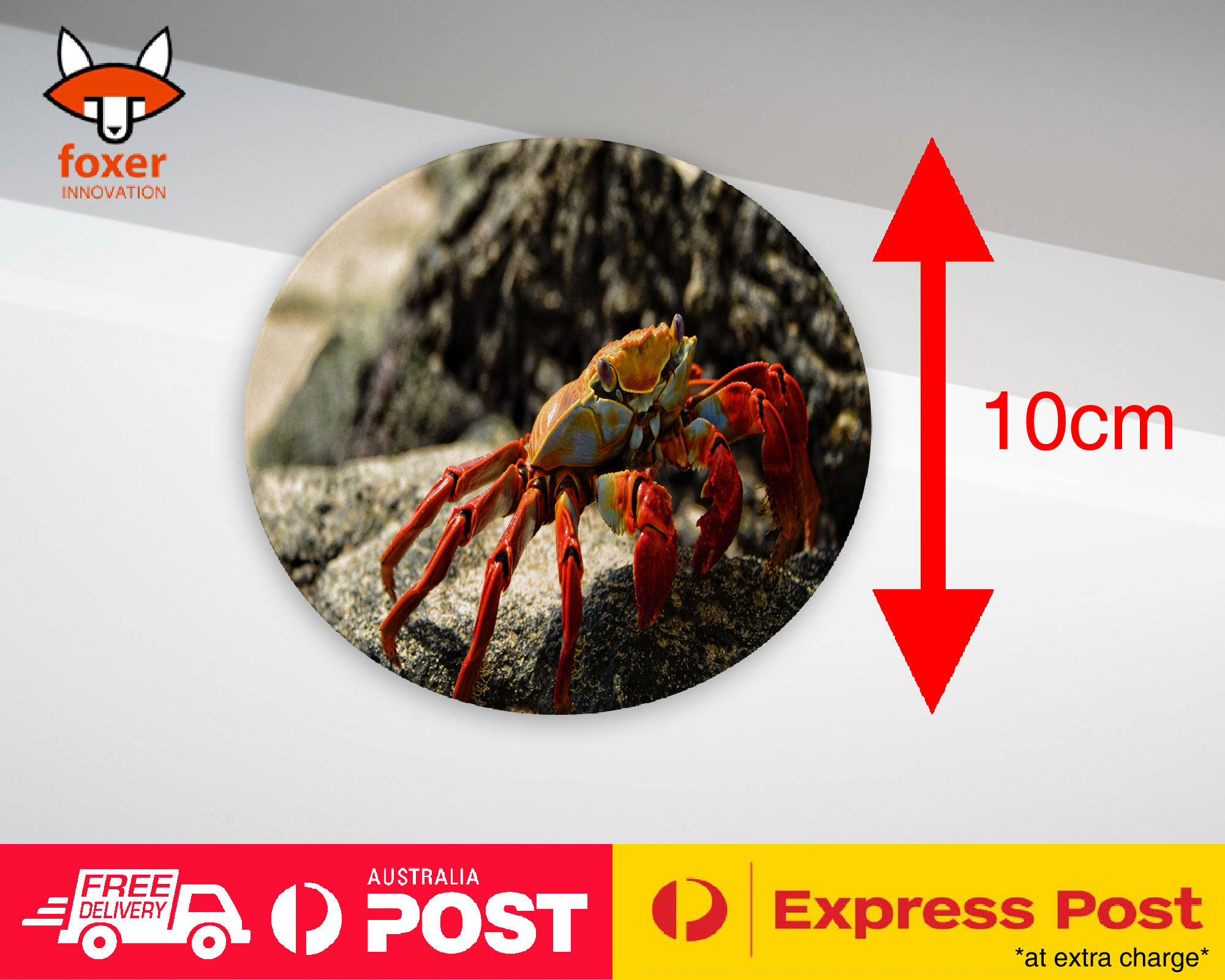 COASTER COFFEE DRINKING MAT|AQUATIC SEA CRAB