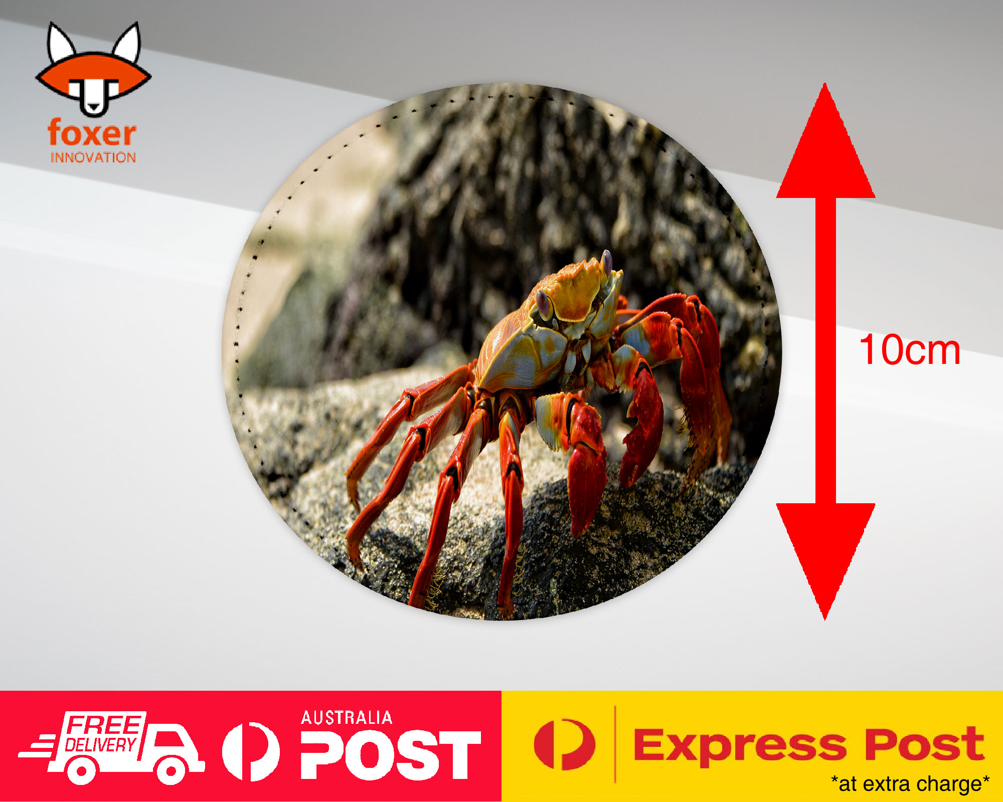 COASTER COFFEE DRINKING MAT|AQUATIC SEA CRAB