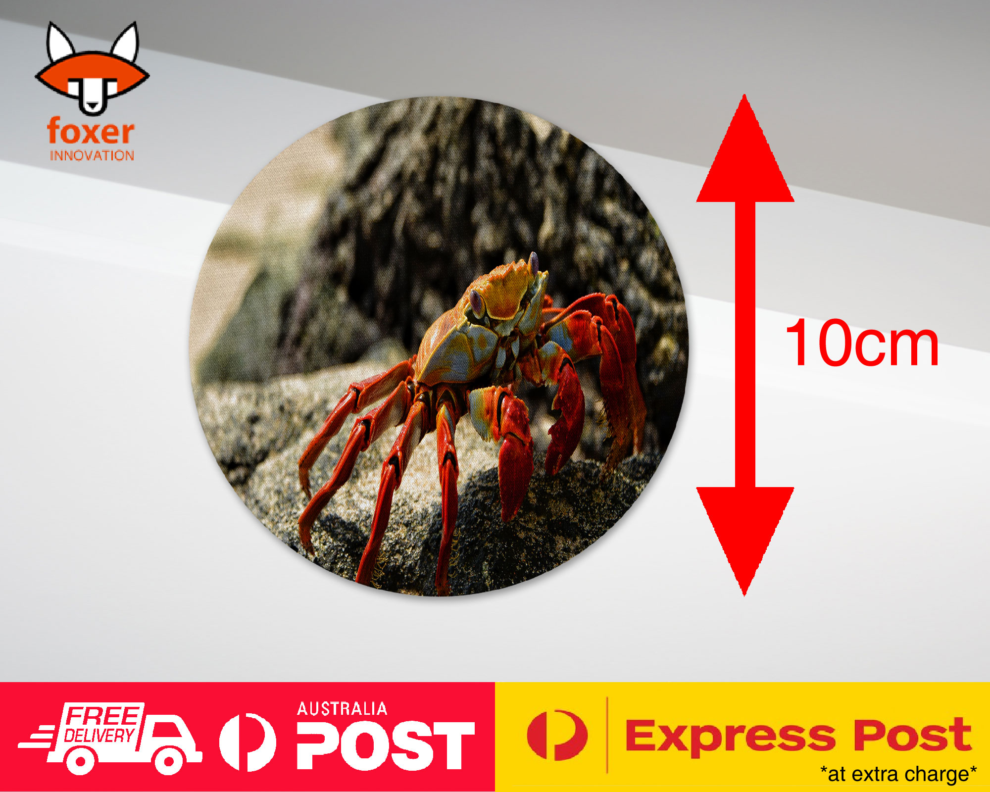 COASTER COFFEE DRINKING MAT|AQUATIC SEA CRAB