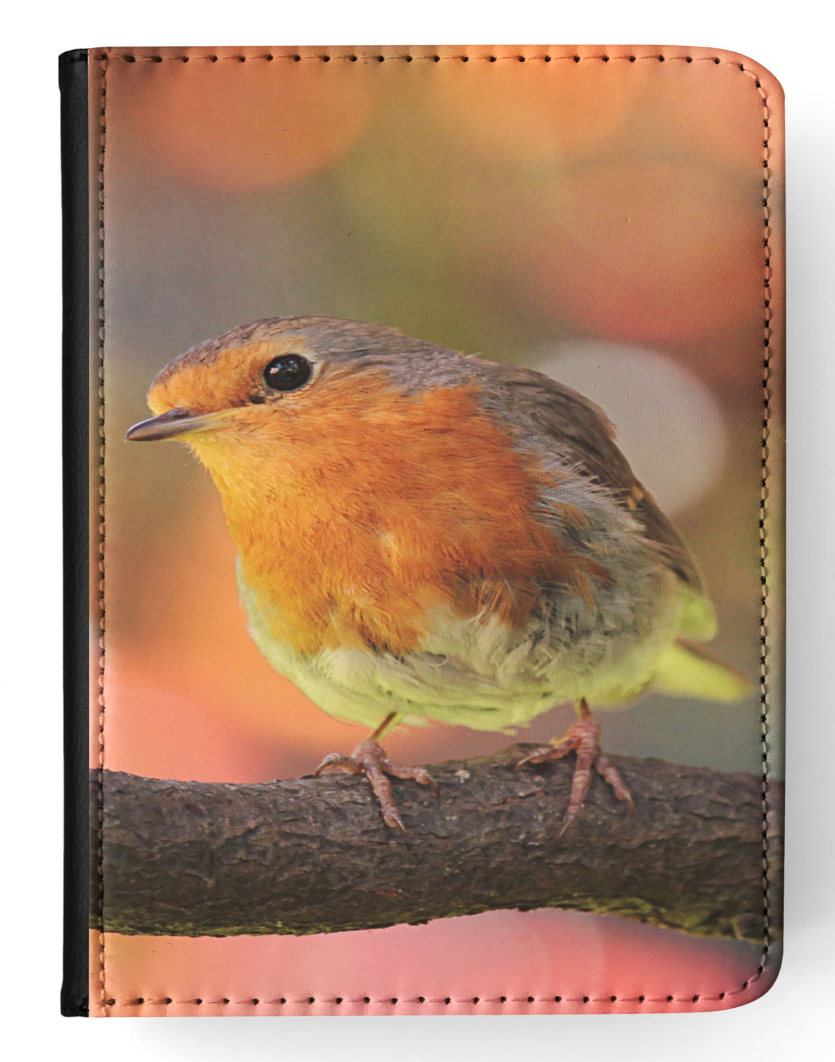 CASE COVER FOR APPLE IPAD|CUTE COLORFUL BIRD ON BRANCH - Imagen 22 de 55