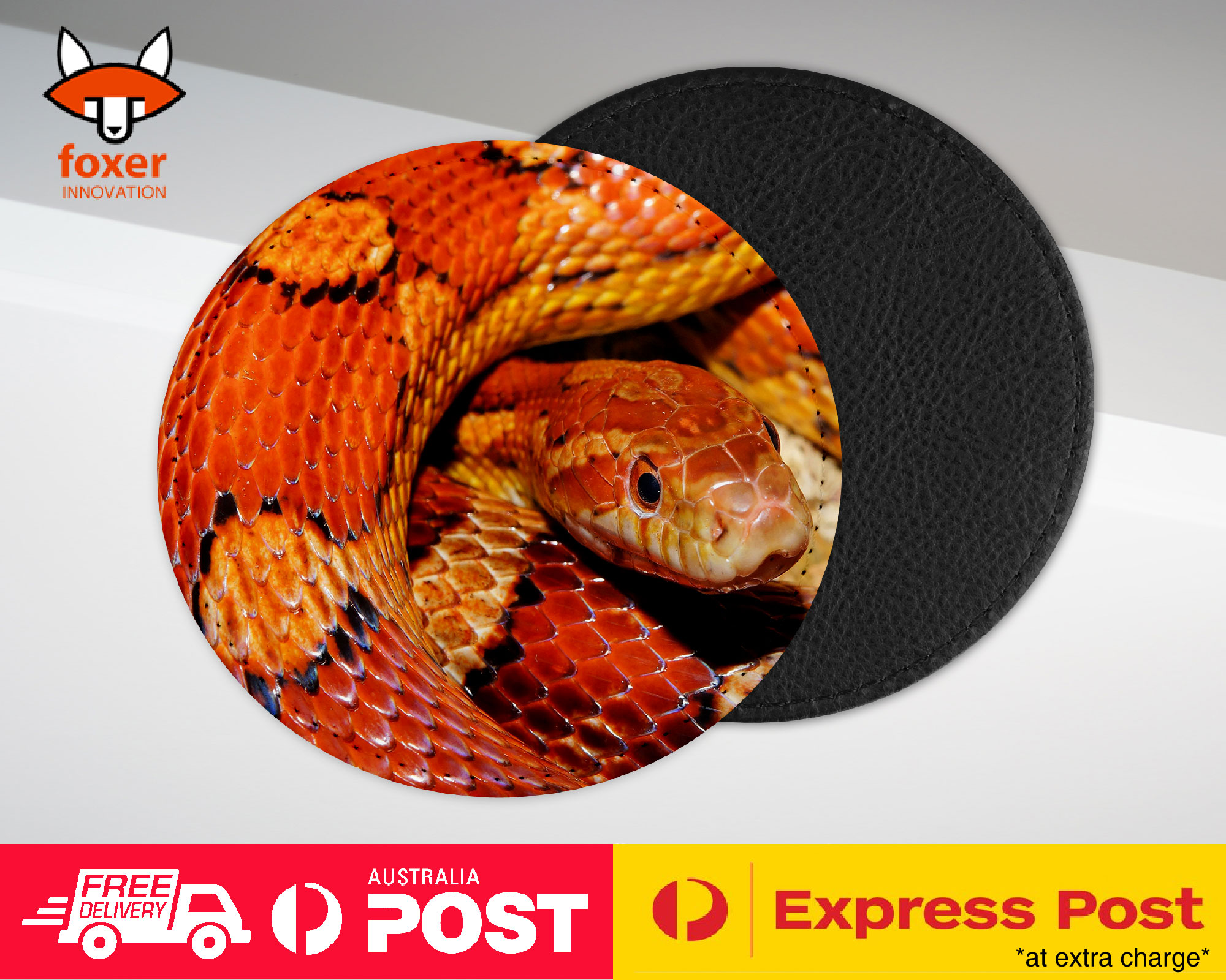 COASTER COFFEE DRINKING MAT|BROWN TAN SNAKE REPTILE #1