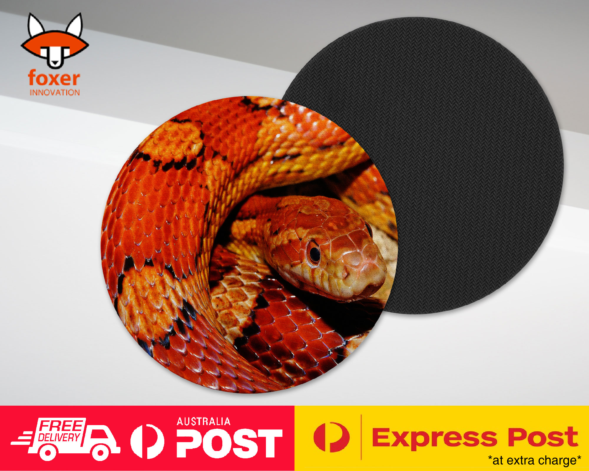 COASTER COFFEE DRINKING MAT|BROWN TAN SNAKE REPTILE #1