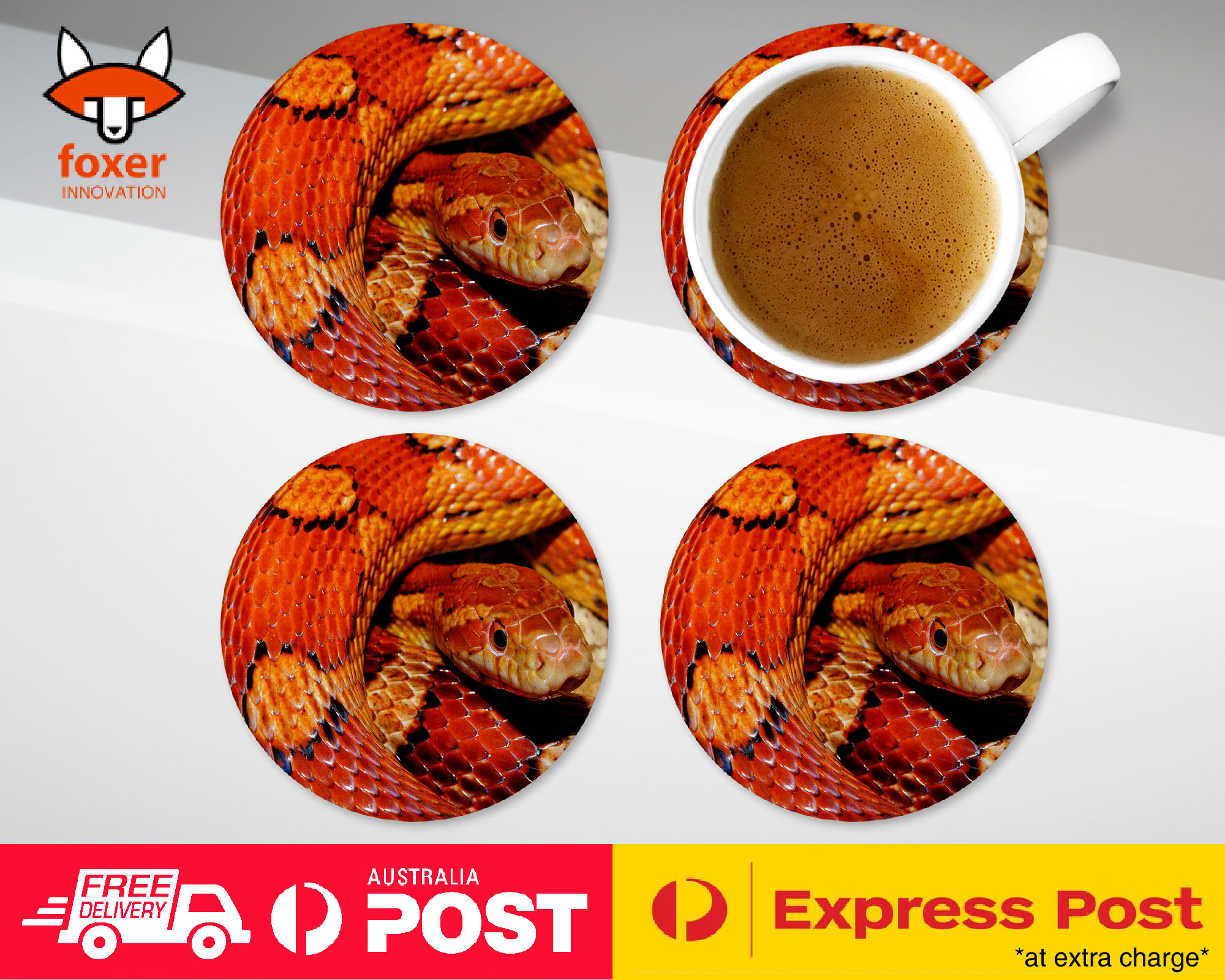 COASTER COFFEE DRINKING MAT|BROWN TAN SNAKE REPTILE #1