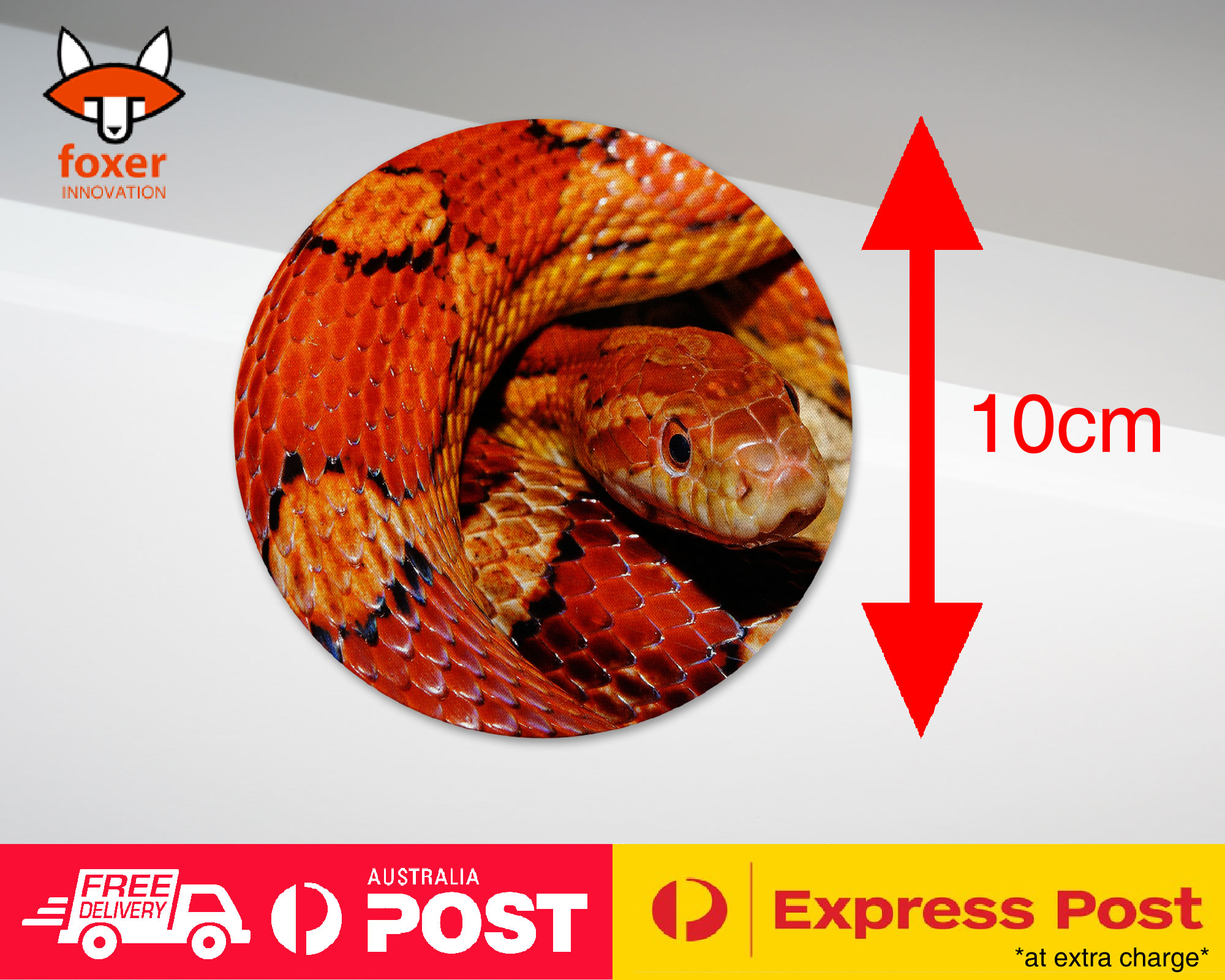 COASTER COFFEE DRINKING MAT|BROWN TAN SNAKE REPTILE #1