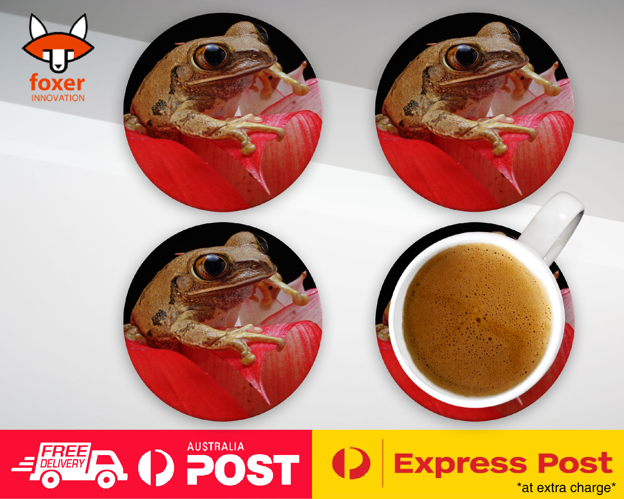 COASTER COFFEE DRINKING MAT|FROG TOAD AMPHIBIANS ON FLOWER