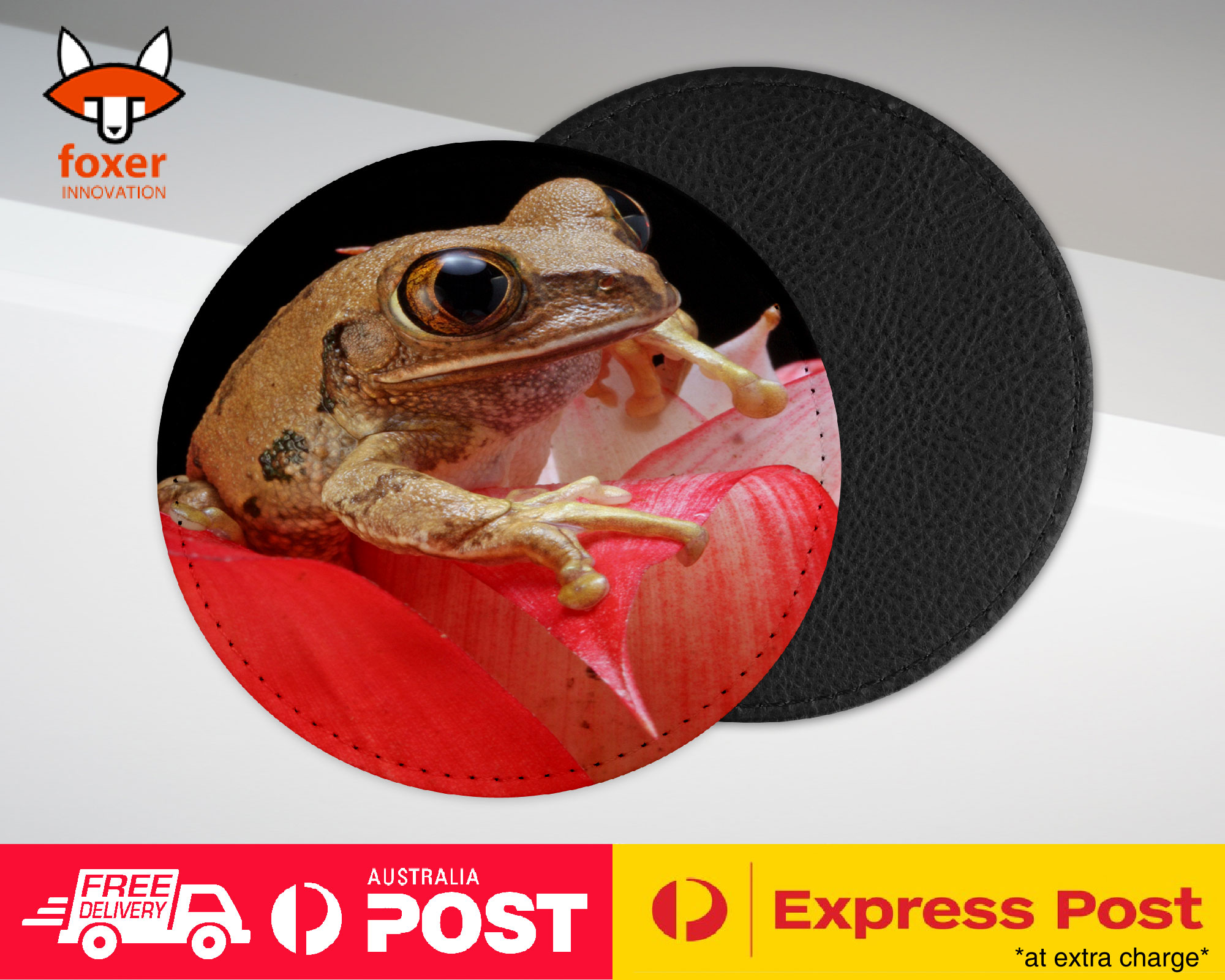 COASTER COFFEE DRINKING MAT|FROG TOAD AMPHIBIANS ON FLOWER