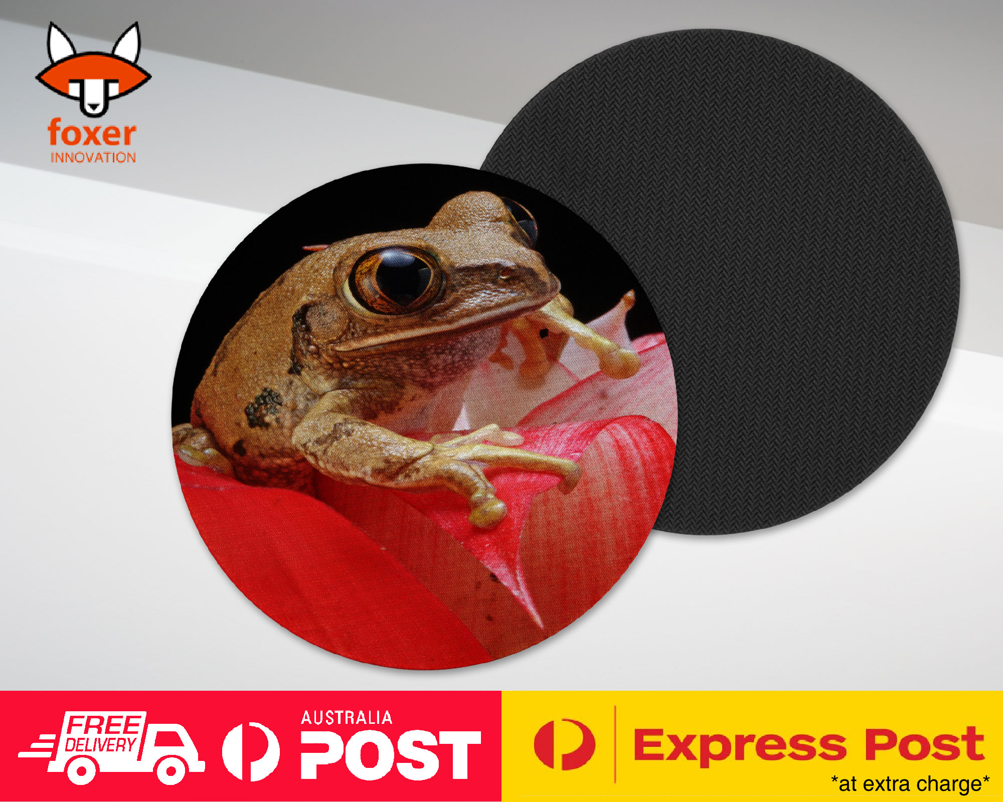 COASTER COFFEE DRINKING MAT|FROG TOAD AMPHIBIANS ON FLOWER