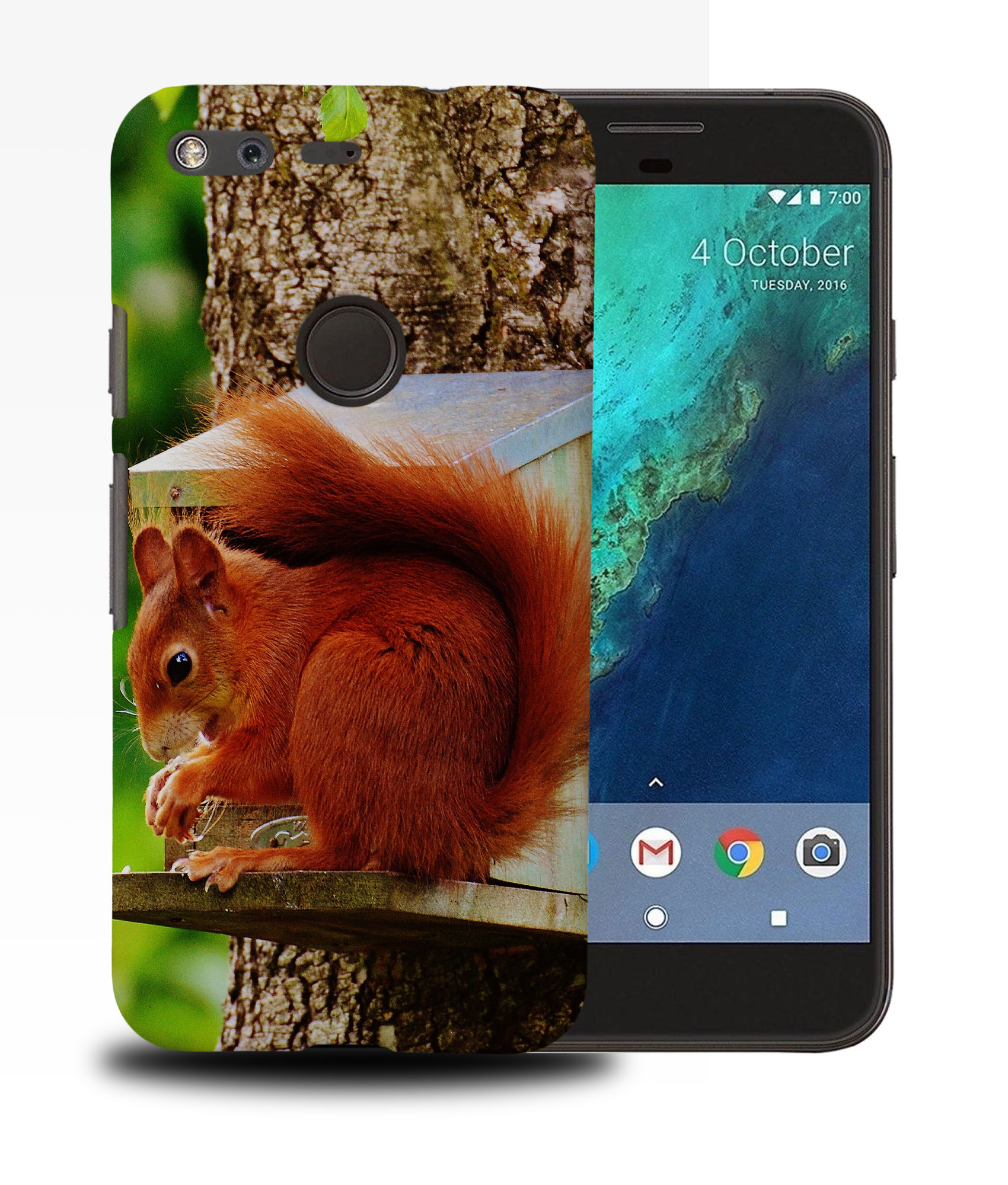 CASE COVER FOR GOOGLE PIXEL|CUTE ADORABLE SQUIRREL RODENT #2 - Picture 11 of 11