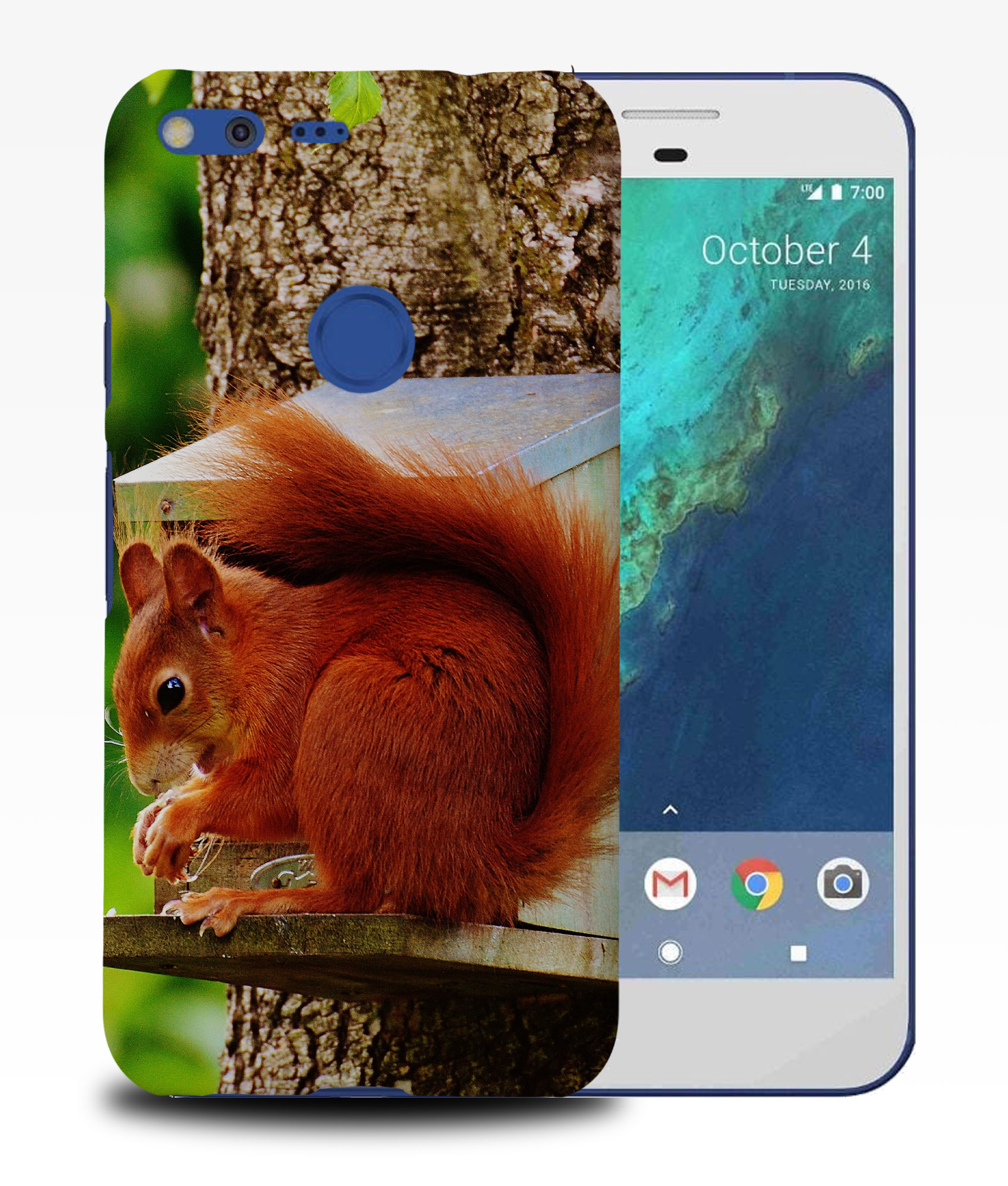 CASE COVER FOR GOOGLE PIXEL|CUTE ADORABLE SQUIRREL RODENT #2 - Picture 10 of 11