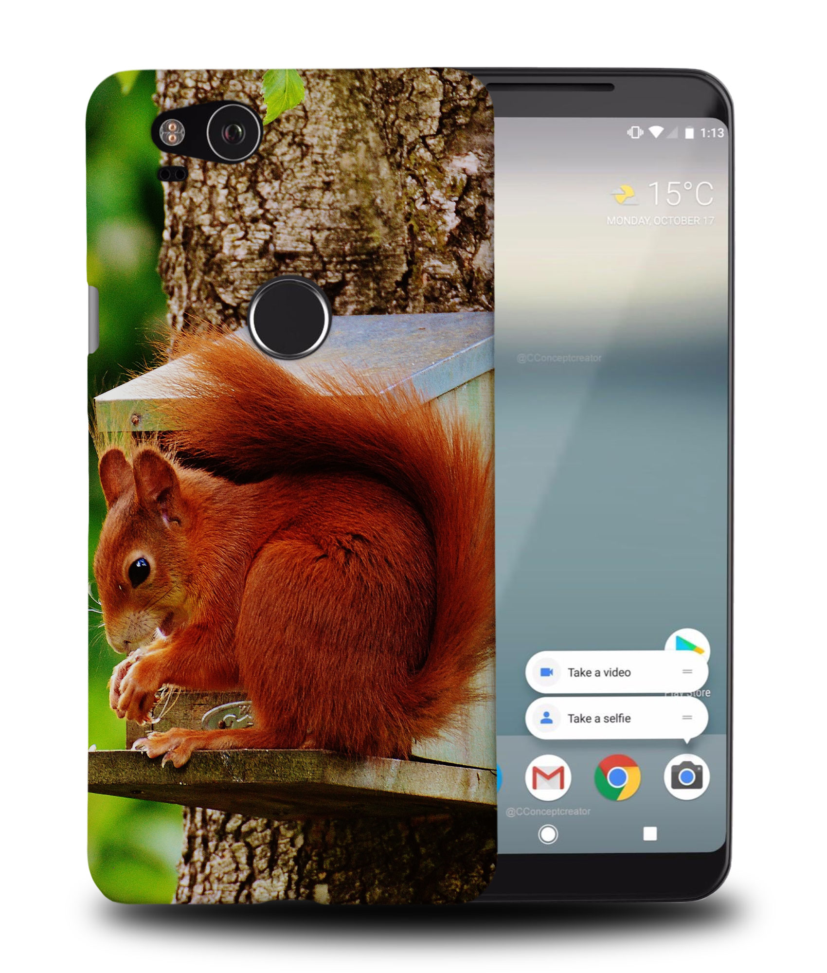 CASE COVER FOR GOOGLE PIXEL|CUTE ADORABLE SQUIRREL RODENT #2 - Picture 9 of 11