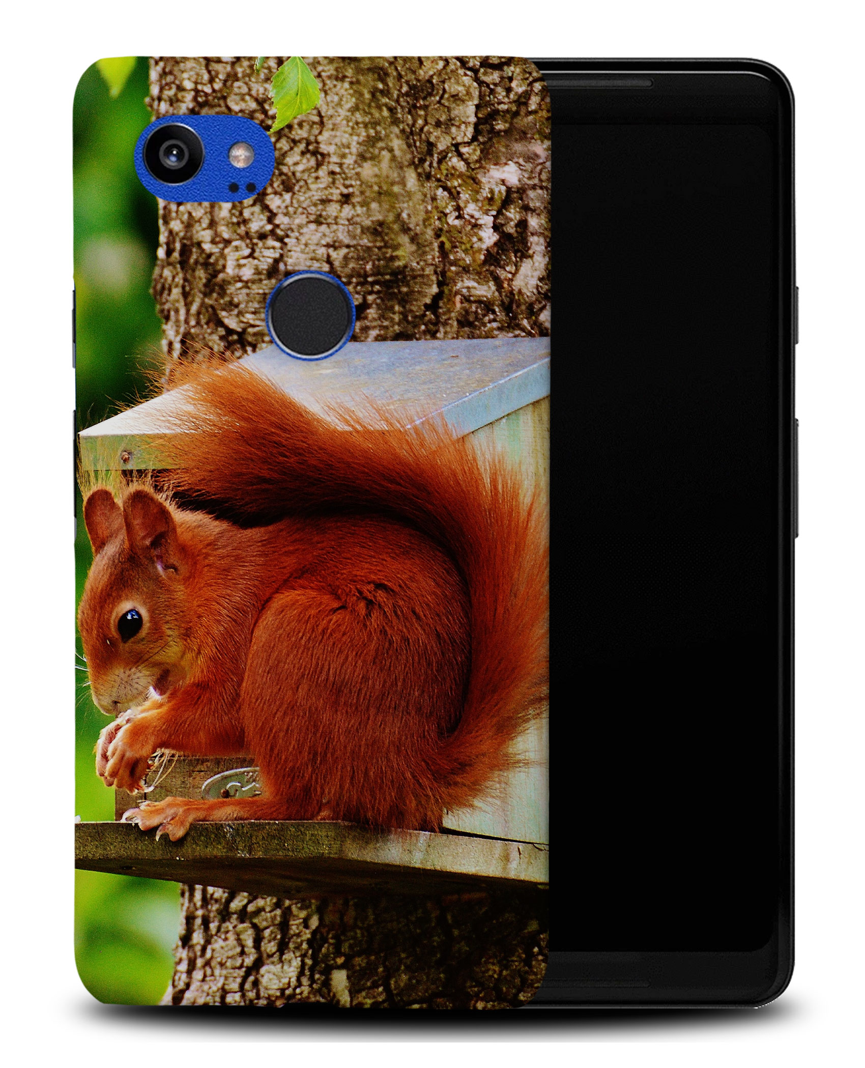 CASE COVER FOR GOOGLE PIXEL|CUTE ADORABLE SQUIRREL RODENT #2 - Picture 8 of 11