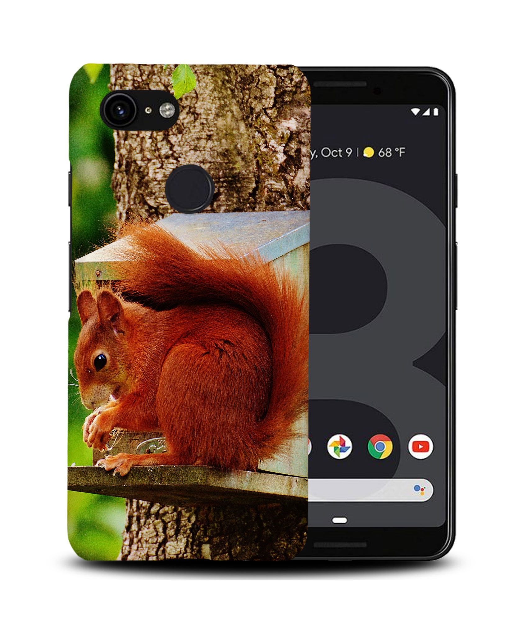 CASE COVER FOR GOOGLE PIXEL|CUTE ADORABLE SQUIRREL RODENT #2 - Picture 7 of 11