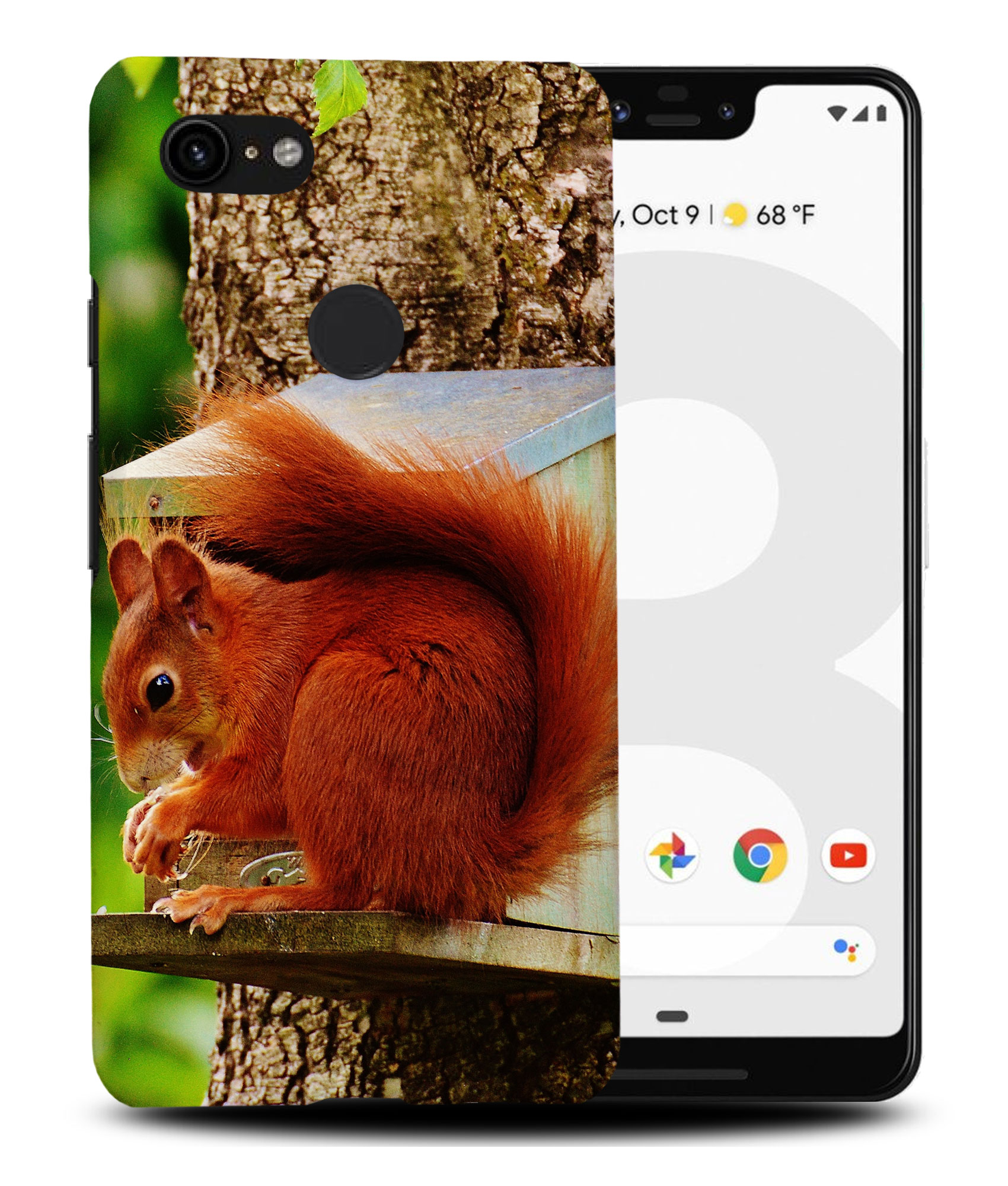 CASE COVER FOR GOOGLE PIXEL|CUTE ADORABLE SQUIRREL RODENT #2 - Picture 6 of 11