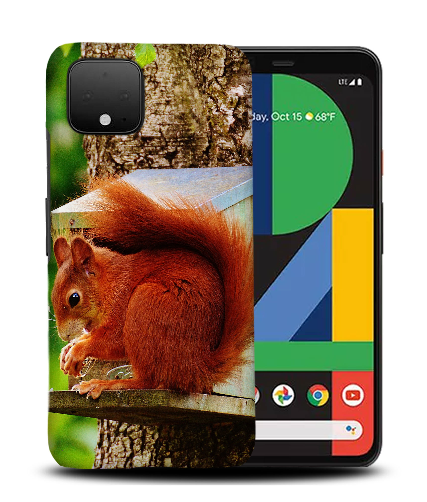 CASE COVER FOR GOOGLE PIXEL|CUTE ADORABLE SQUIRREL RODENT #2 - Picture 5 of 11