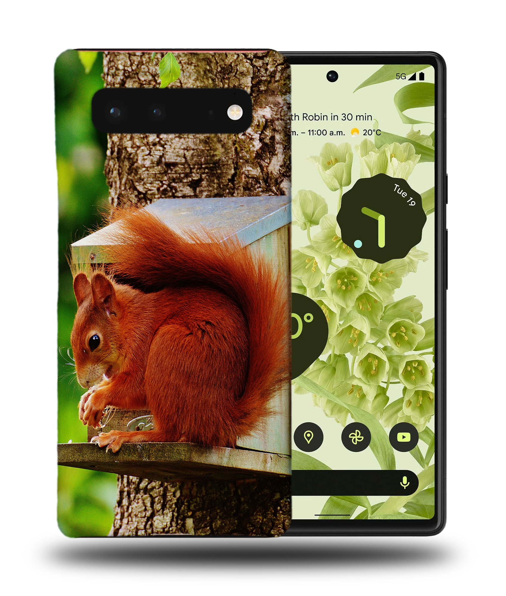 CASE COVER FOR GOOGLE PIXEL|CUTE ADORABLE SQUIRREL RODENT #2 - Picture 3 of 11
