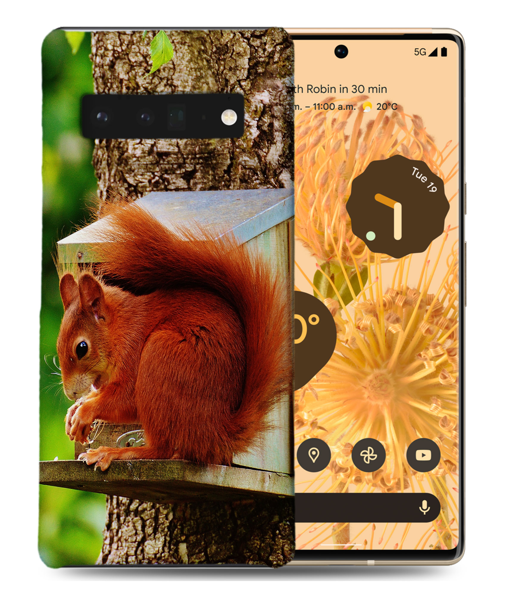 CASE COVER FOR GOOGLE PIXEL|CUTE ADORABLE SQUIRREL RODENT #2 - Picture 2 of 11