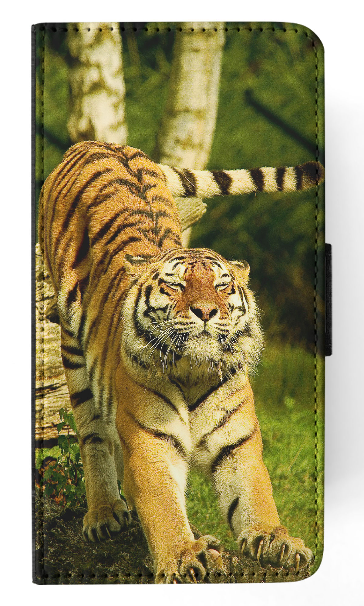 FLIP CASE FOR SAMSUNG GALAXY|CUTE FUNNY TIGER STRETCHING - Picture 27 of 120