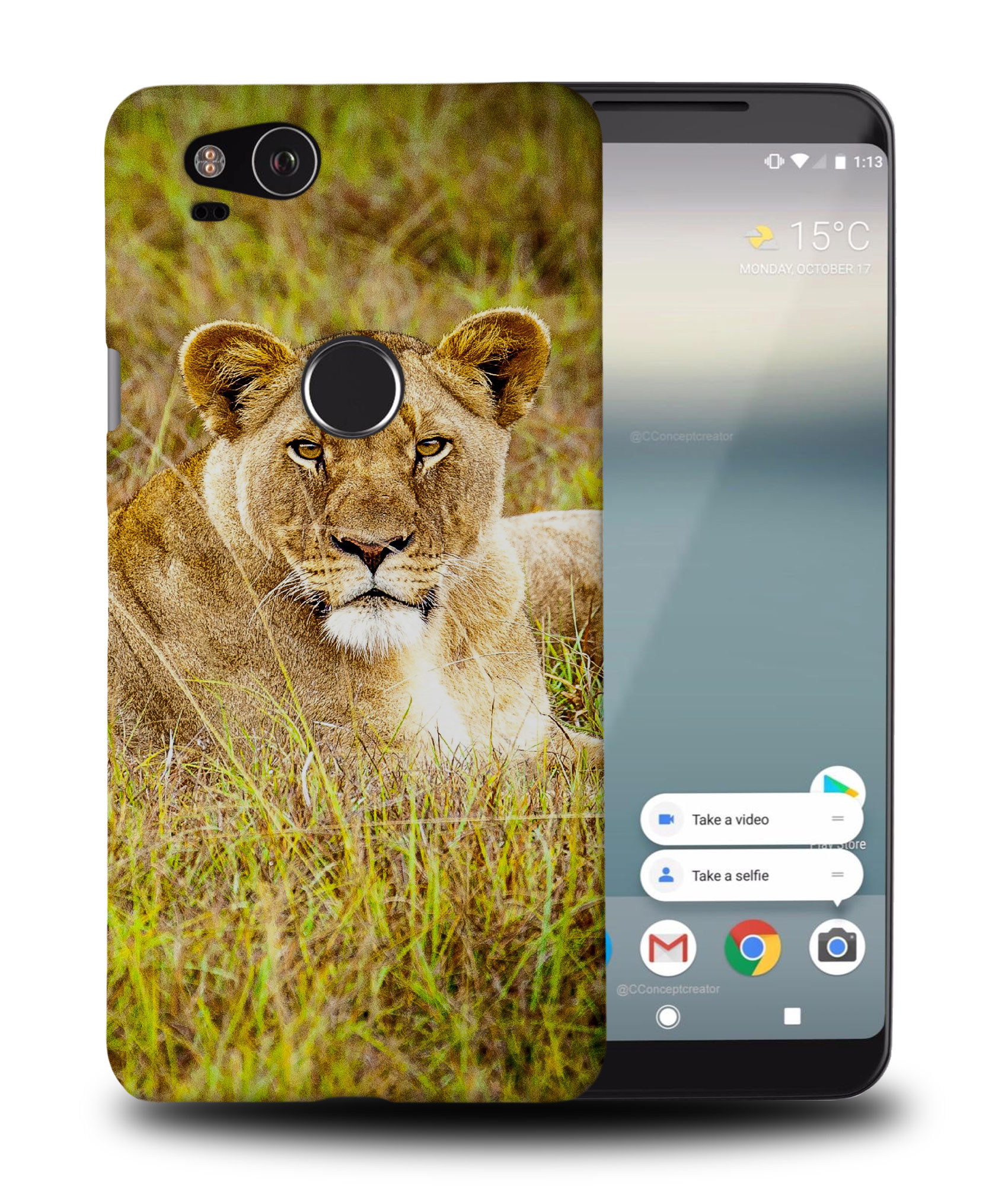 CASE COVER FOR GOOGLE PIXEL|AFRICAN LION RESTING ANIMAL - Foto 9 di 11