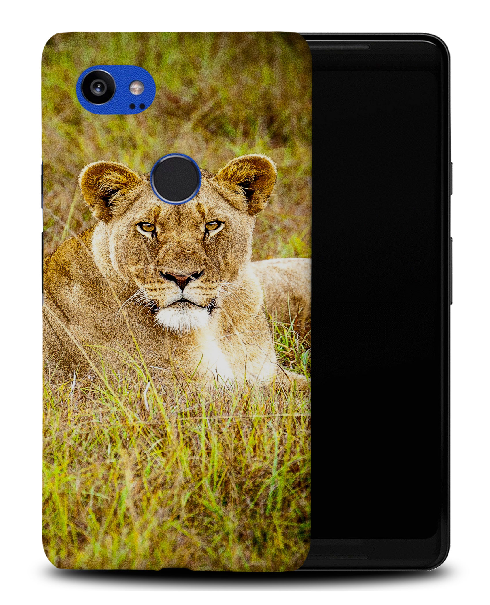 CASE COVER FOR GOOGLE PIXEL|AFRICAN LION RESTING ANIMAL - Foto 8 di 11
