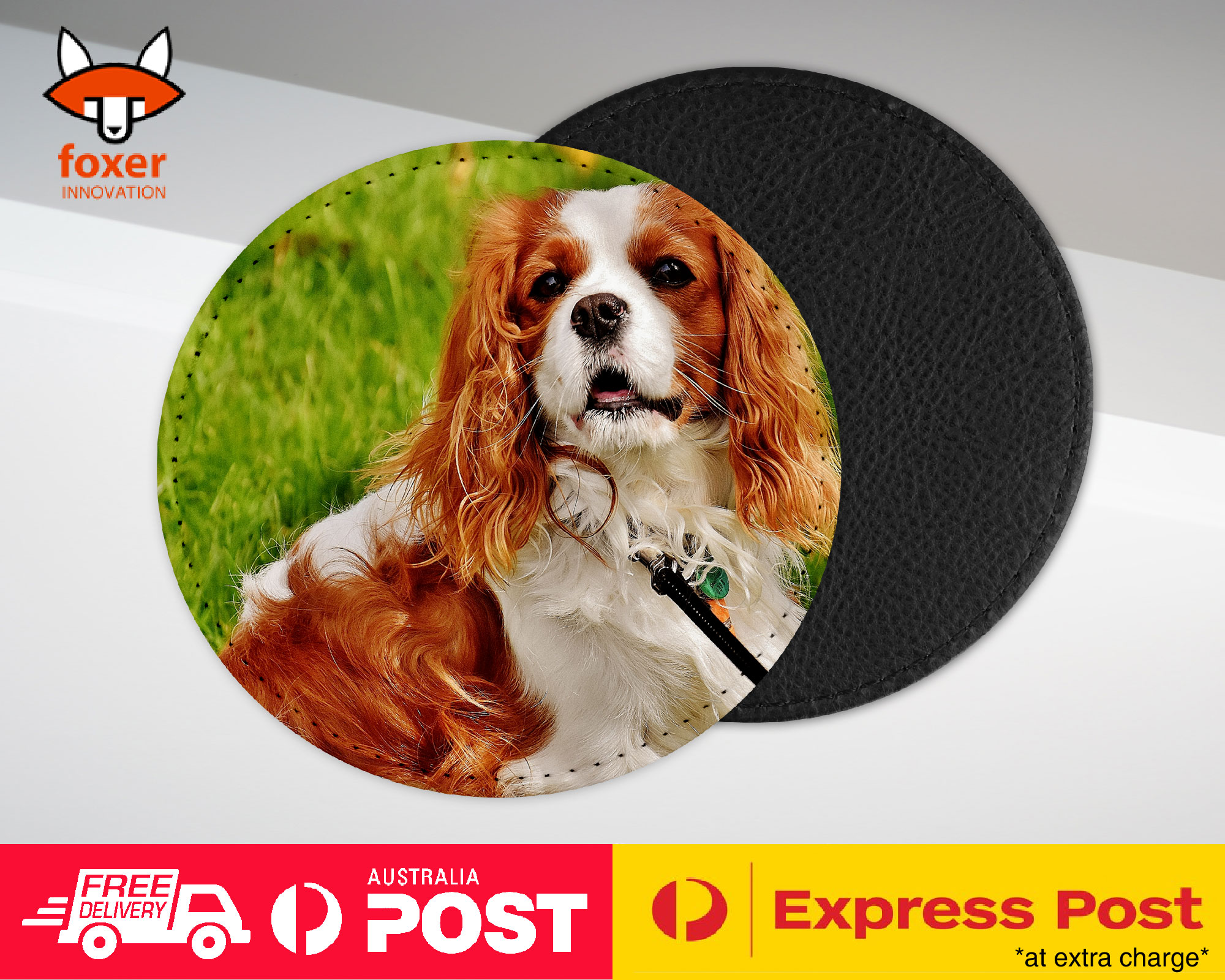 COASTER COFFEE DRINKING MAT|CUTE COCKER SPANIEL DOG PUPPY #1