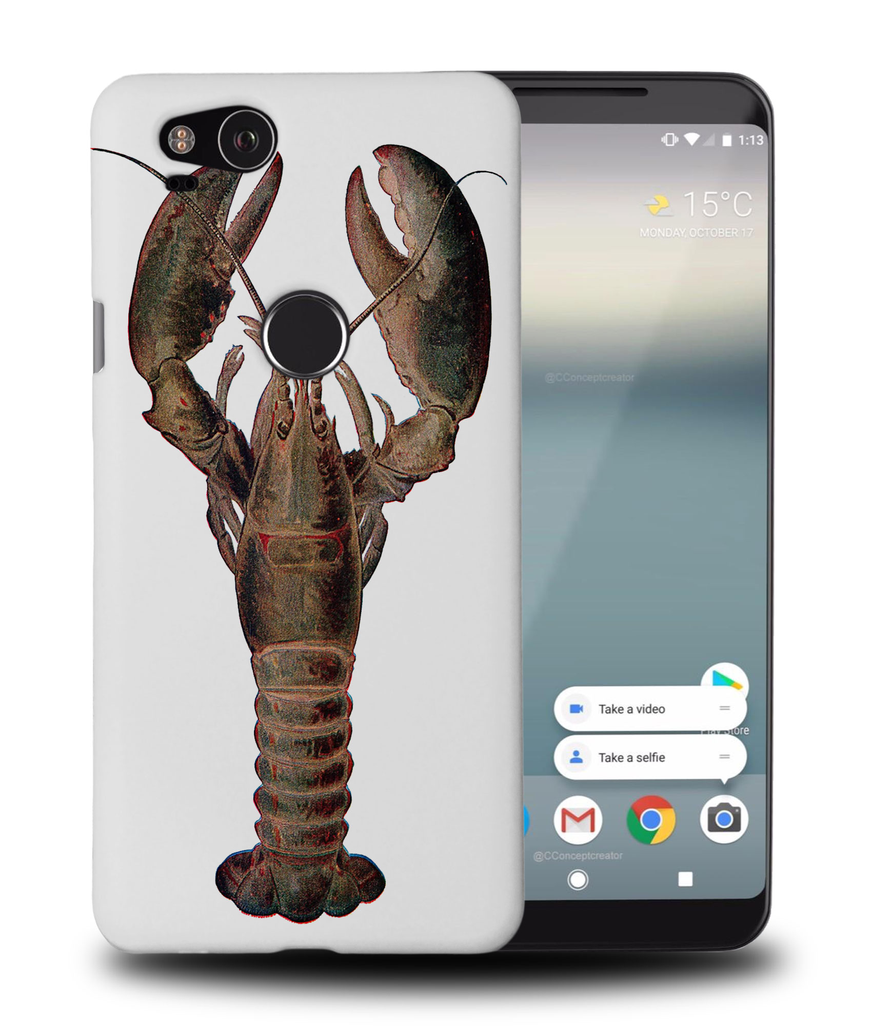 FUNDA PARA GOOGLE PIXEL|DIBUJO DE LANGOSTA DIBUJO ARTÍSTICO - Imagen 9 de 11