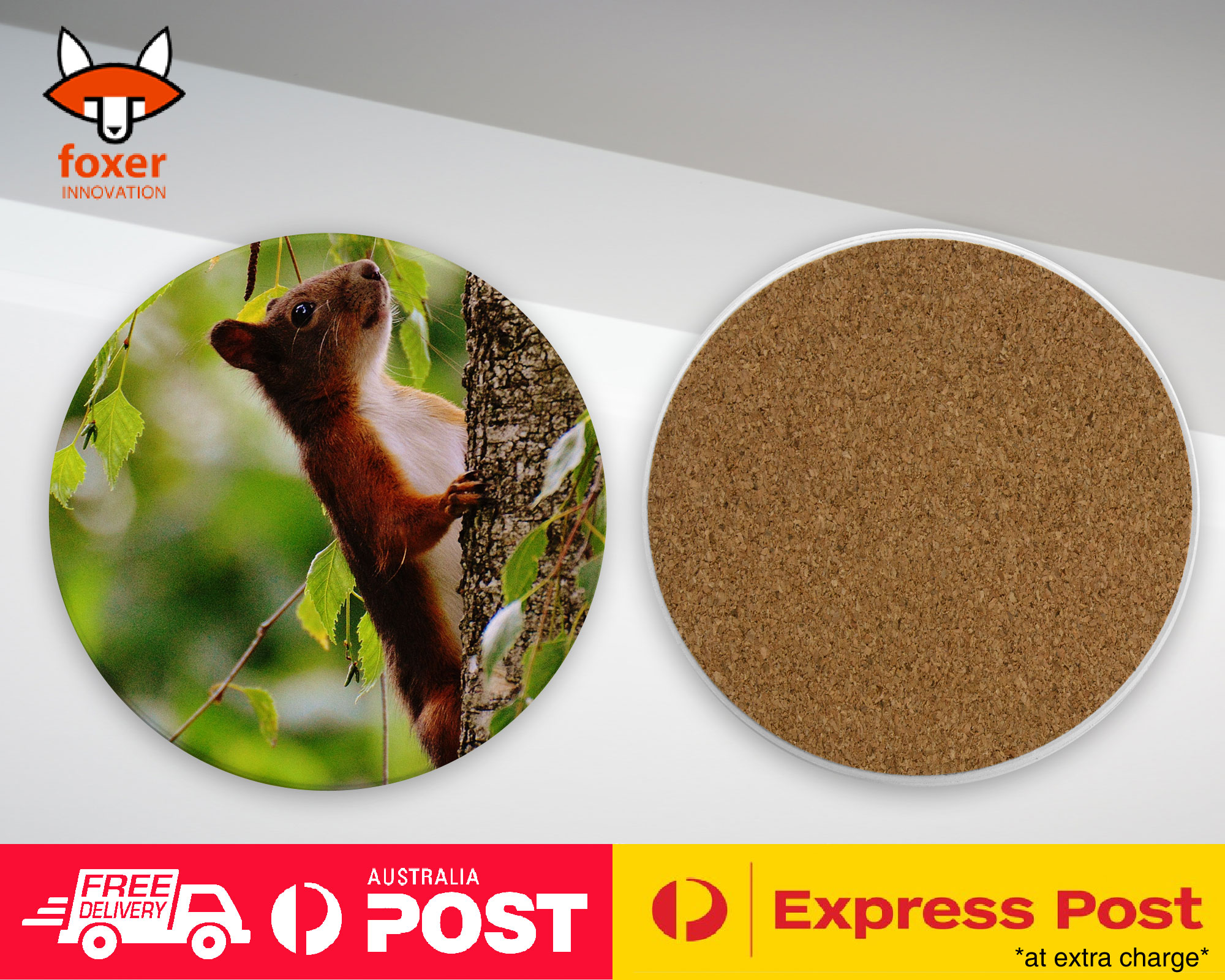 COASTER COFFEE DRINKING MAT|CUTE ADORABLE SQUIRREL RODENT #5