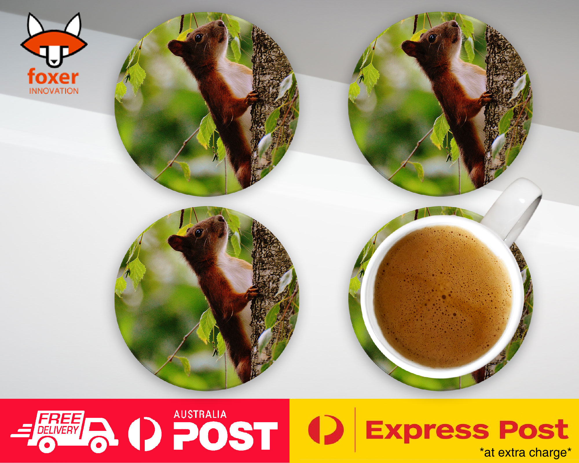 COASTER COFFEE DRINKING MAT|CUTE ADORABLE SQUIRREL RODENT #5