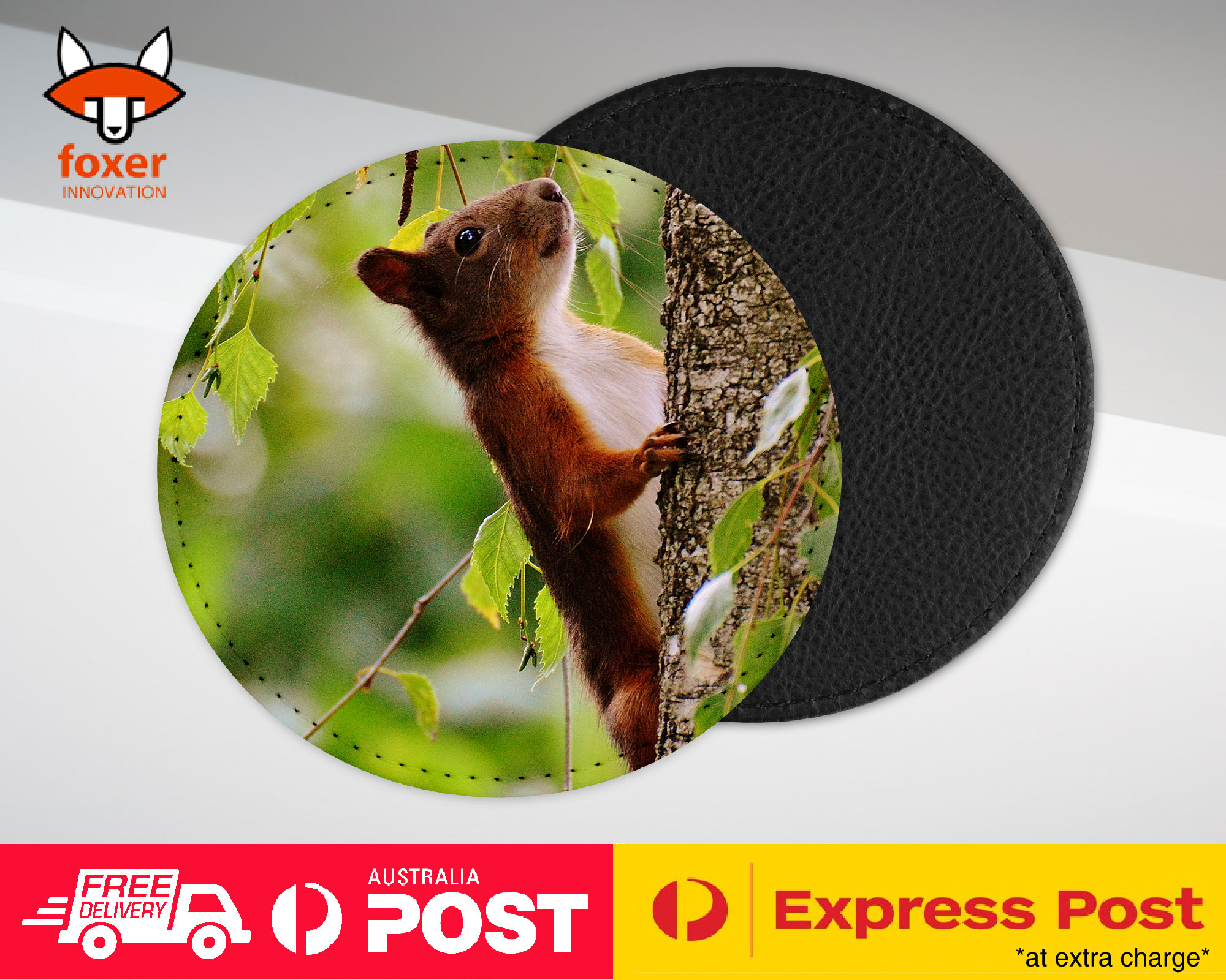 COASTER COFFEE DRINKING MAT|CUTE ADORABLE SQUIRREL RODENT #5