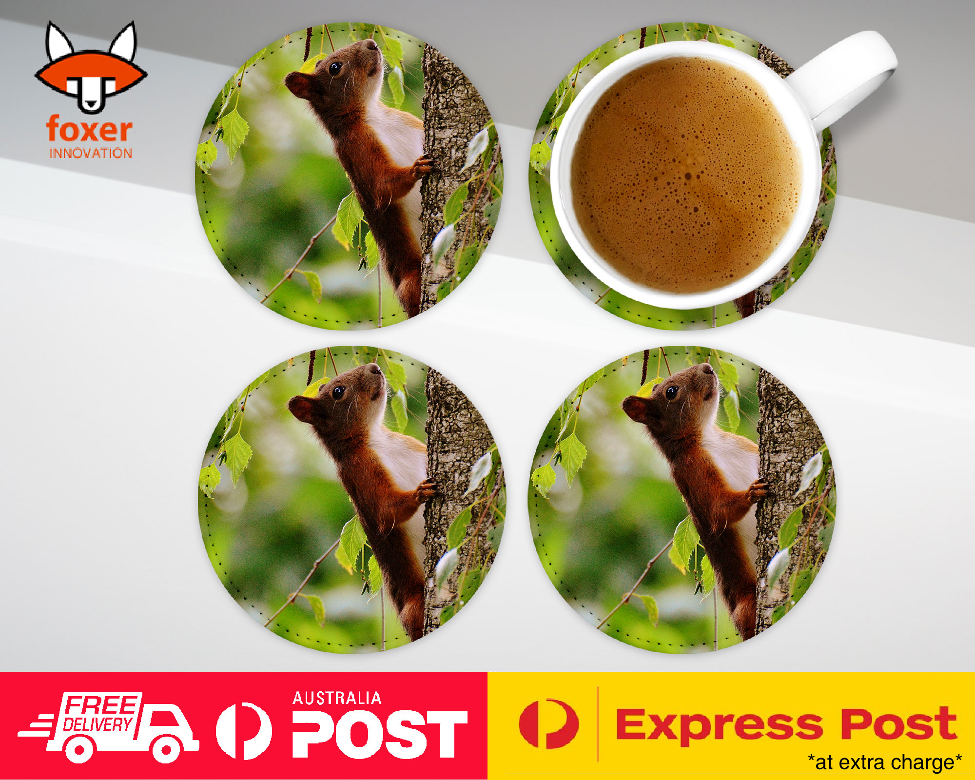 COASTER COFFEE DRINKING MAT|CUTE ADORABLE SQUIRREL RODENT #5