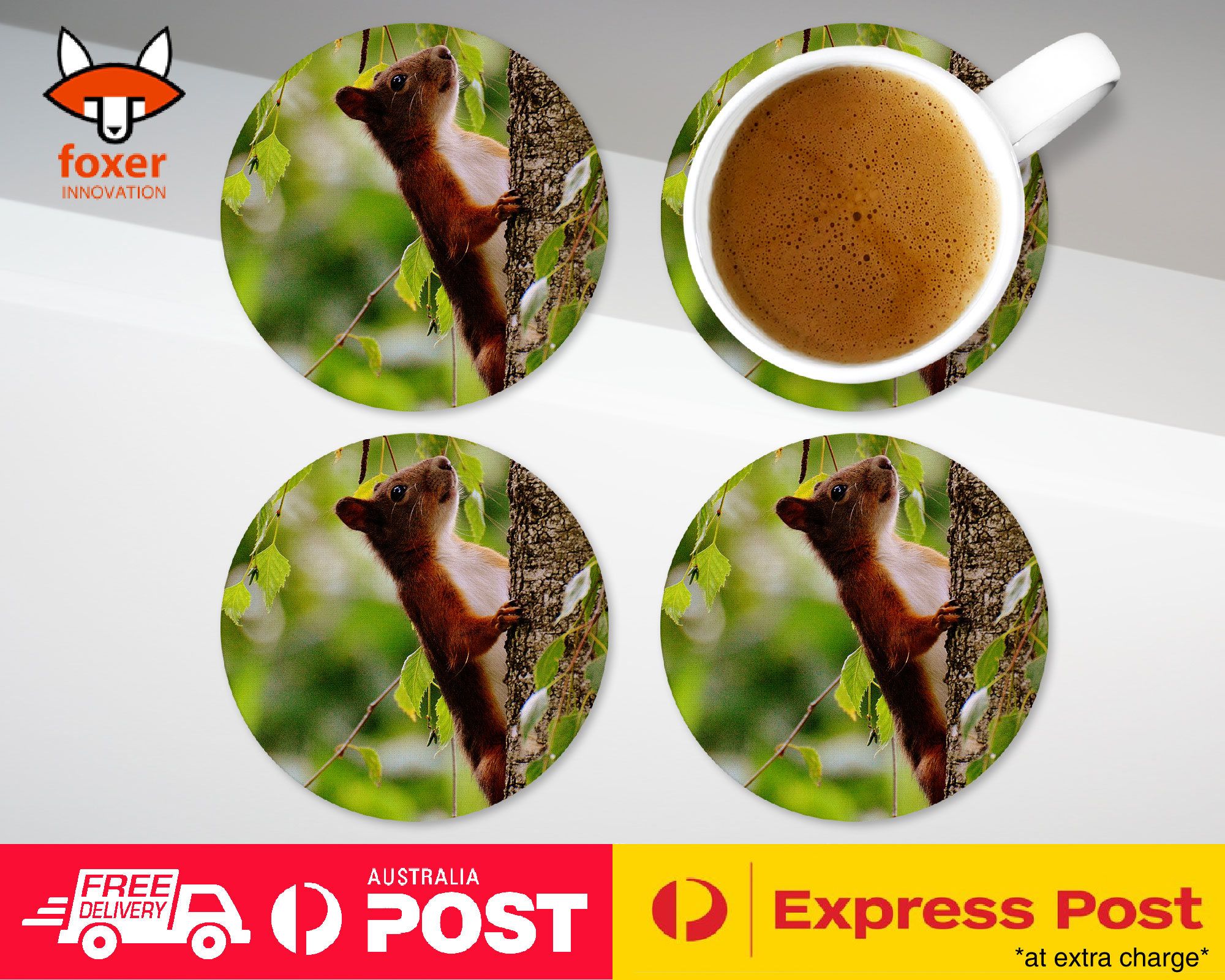COASTER COFFEE DRINKING MAT|CUTE ADORABLE SQUIRREL RODENT #5