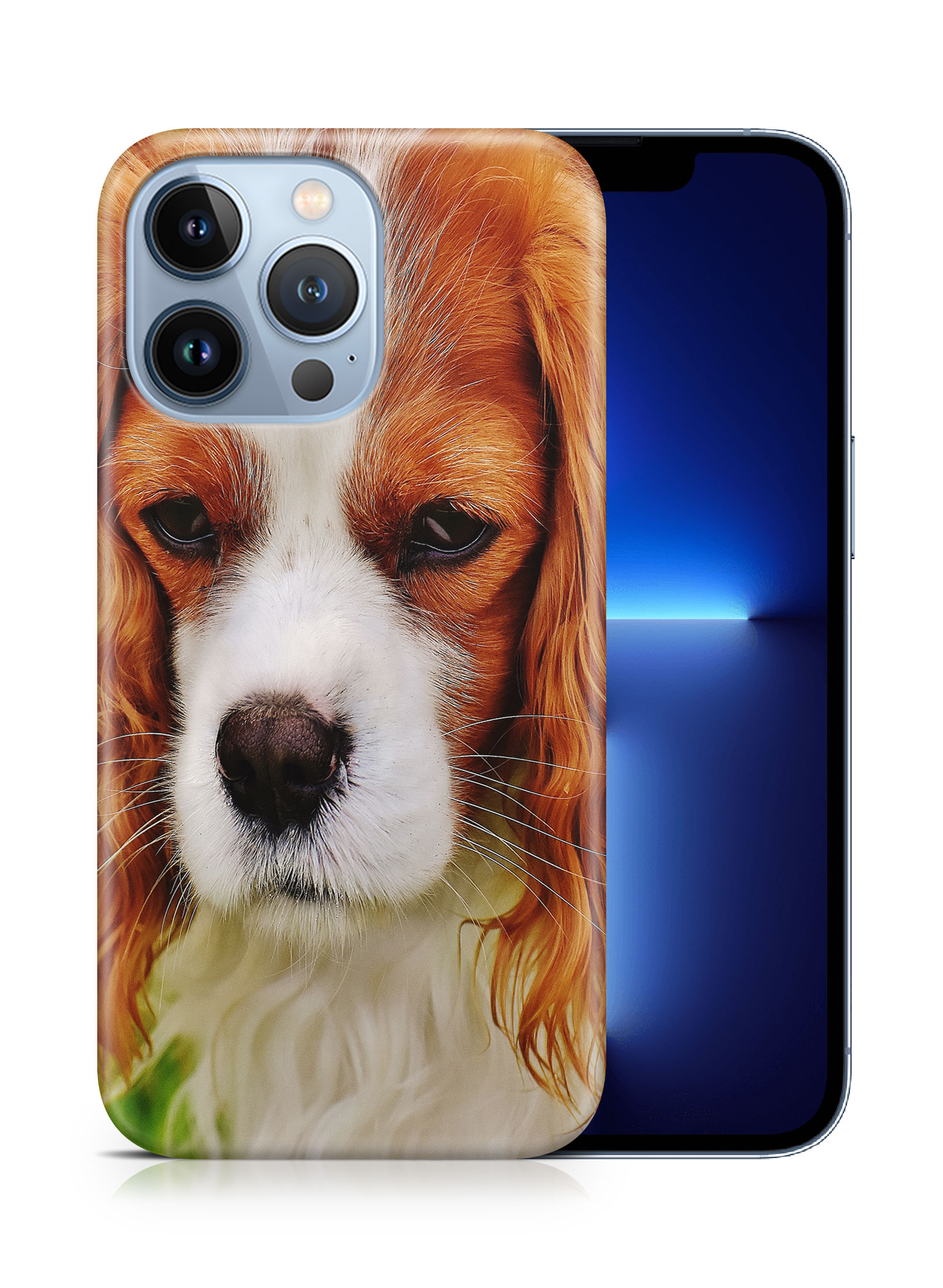 CASE COVER FOR APPLE IPHONE|CUTE COCKER SPANIEL DOG PUPPY #2 - Picture 15 of 44