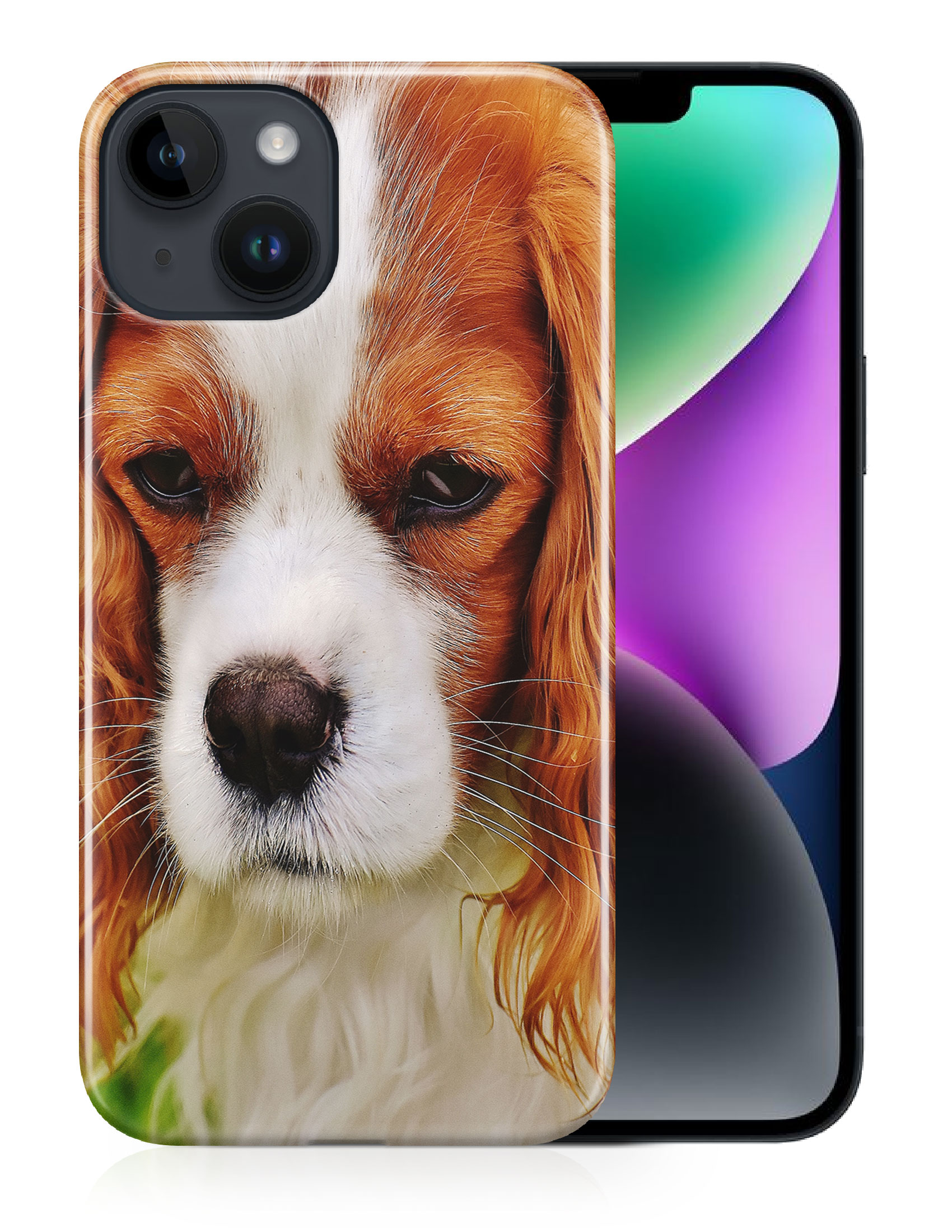 CASE COVER FOR APPLE IPHONE|CUTE COCKER SPANIEL DOG PUPPY #2 - Picture 12 of 44