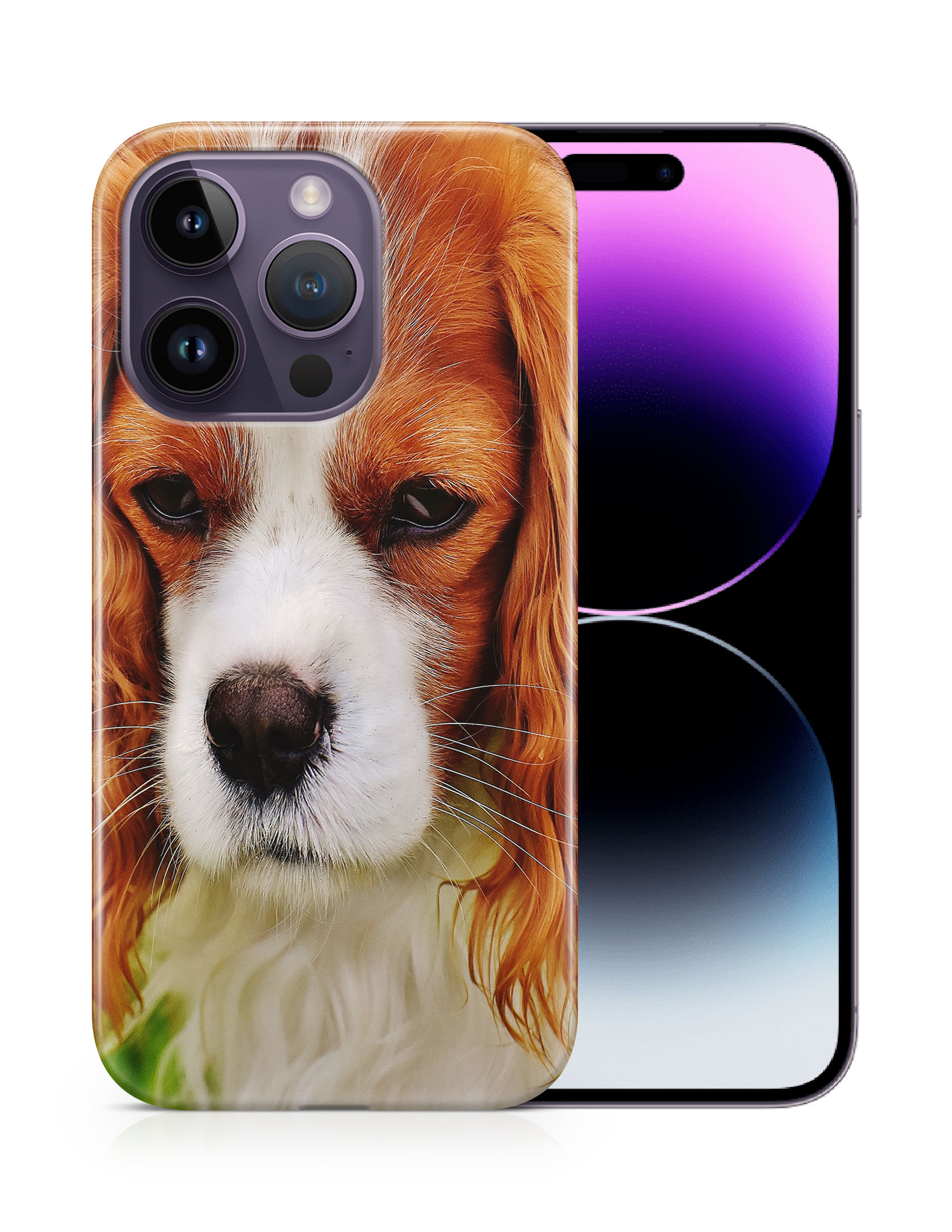 CASE COVER FOR APPLE IPHONE|CUTE COCKER SPANIEL DOG PUPPY #2 - Picture 11 of 44