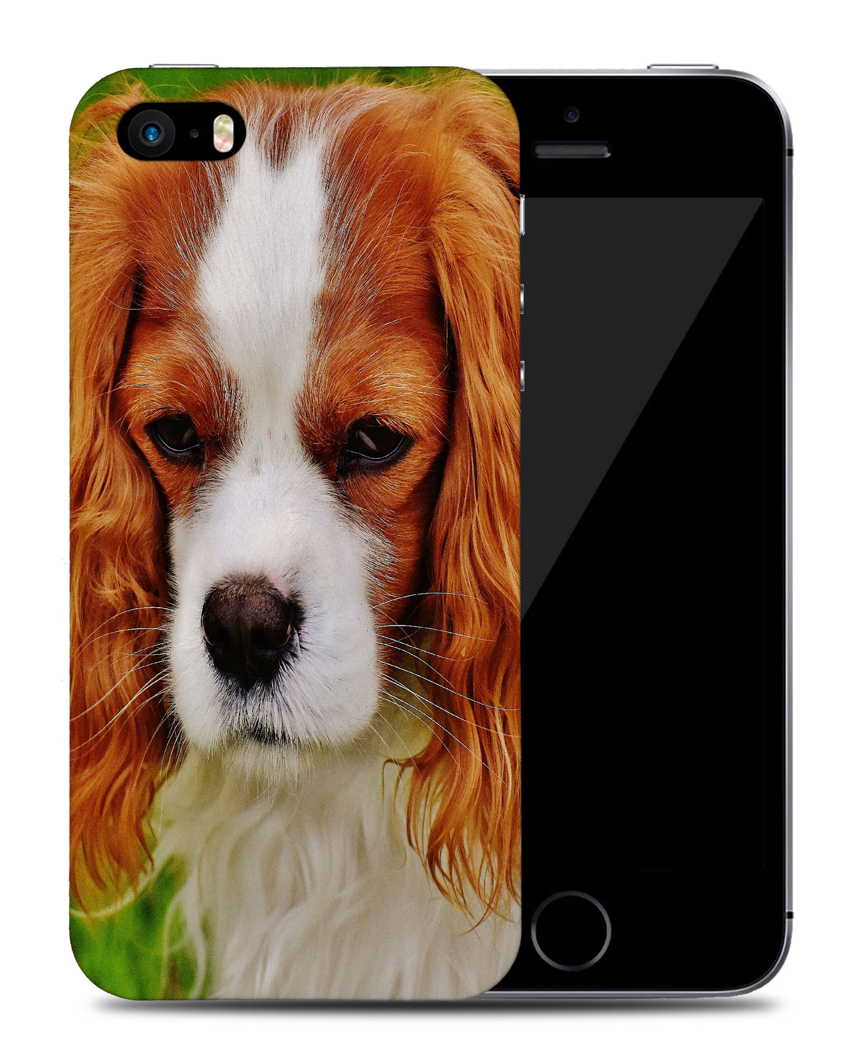 CASE COVER FOR APPLE IPHONE|CUTE COCKER SPANIEL DOG PUPPY #2 - Picture 38 of 44
