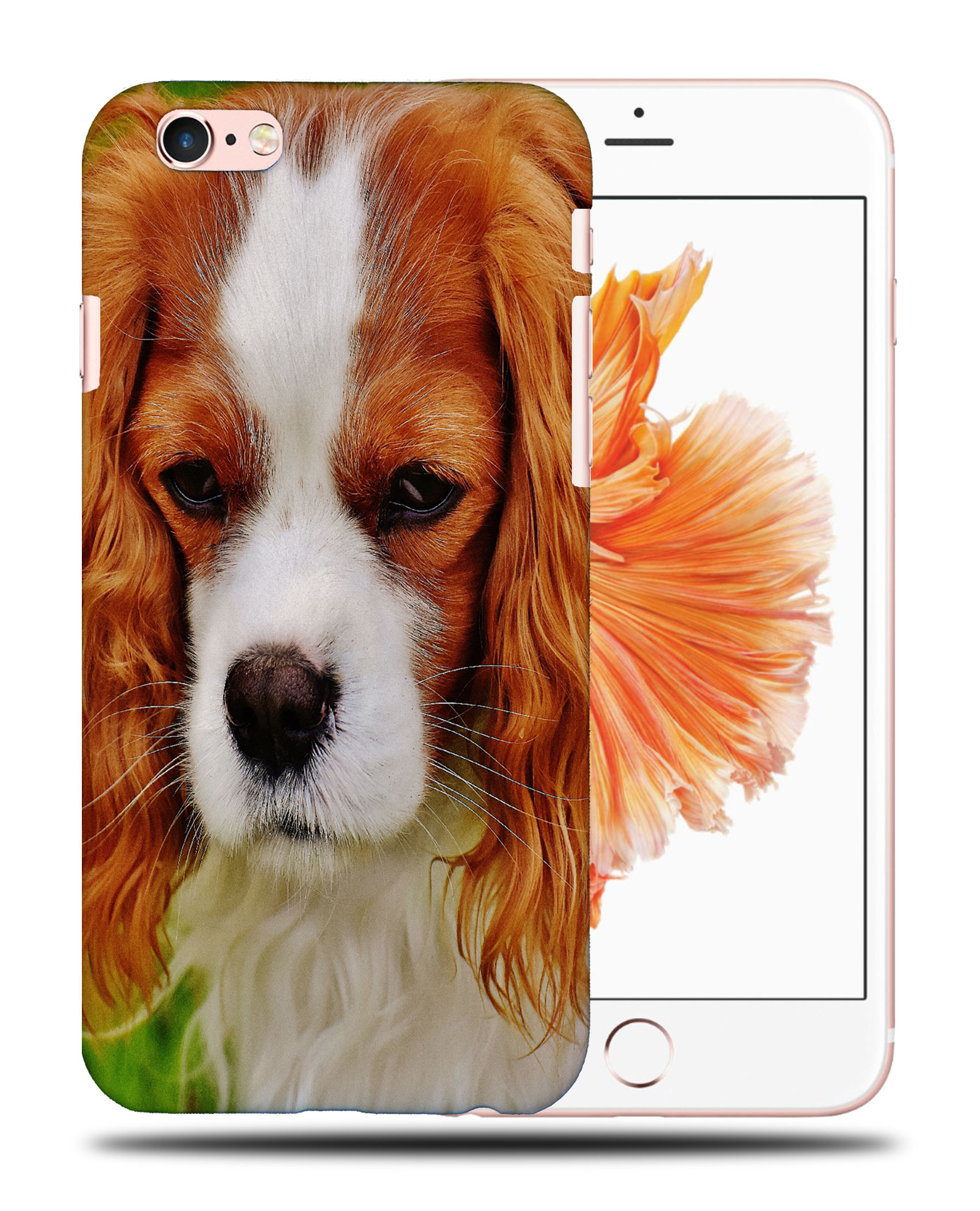 CASE COVER FOR APPLE IPHONE|CUTE COCKER SPANIEL DOG PUPPY #2 - Picture 35 of 44