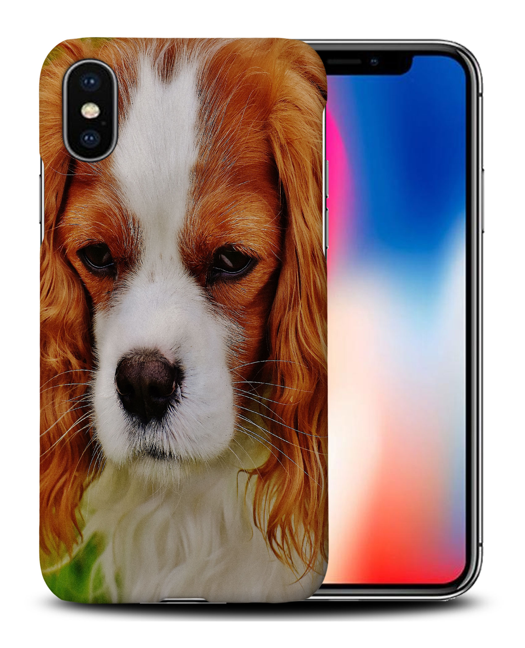 CASE COVER FOR APPLE IPHONE|CUTE COCKER SPANIEL DOG PUPPY #2 - Picture 26 of 44