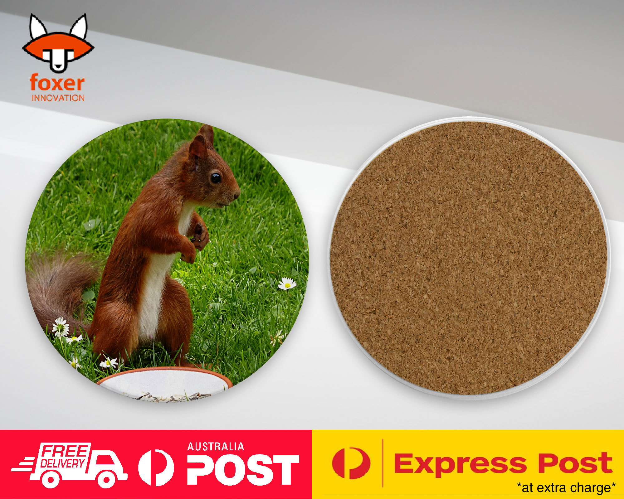 COASTER COFFEE DRINKING MAT|CUTE ADORABLE SQUIRREL RODENT #8