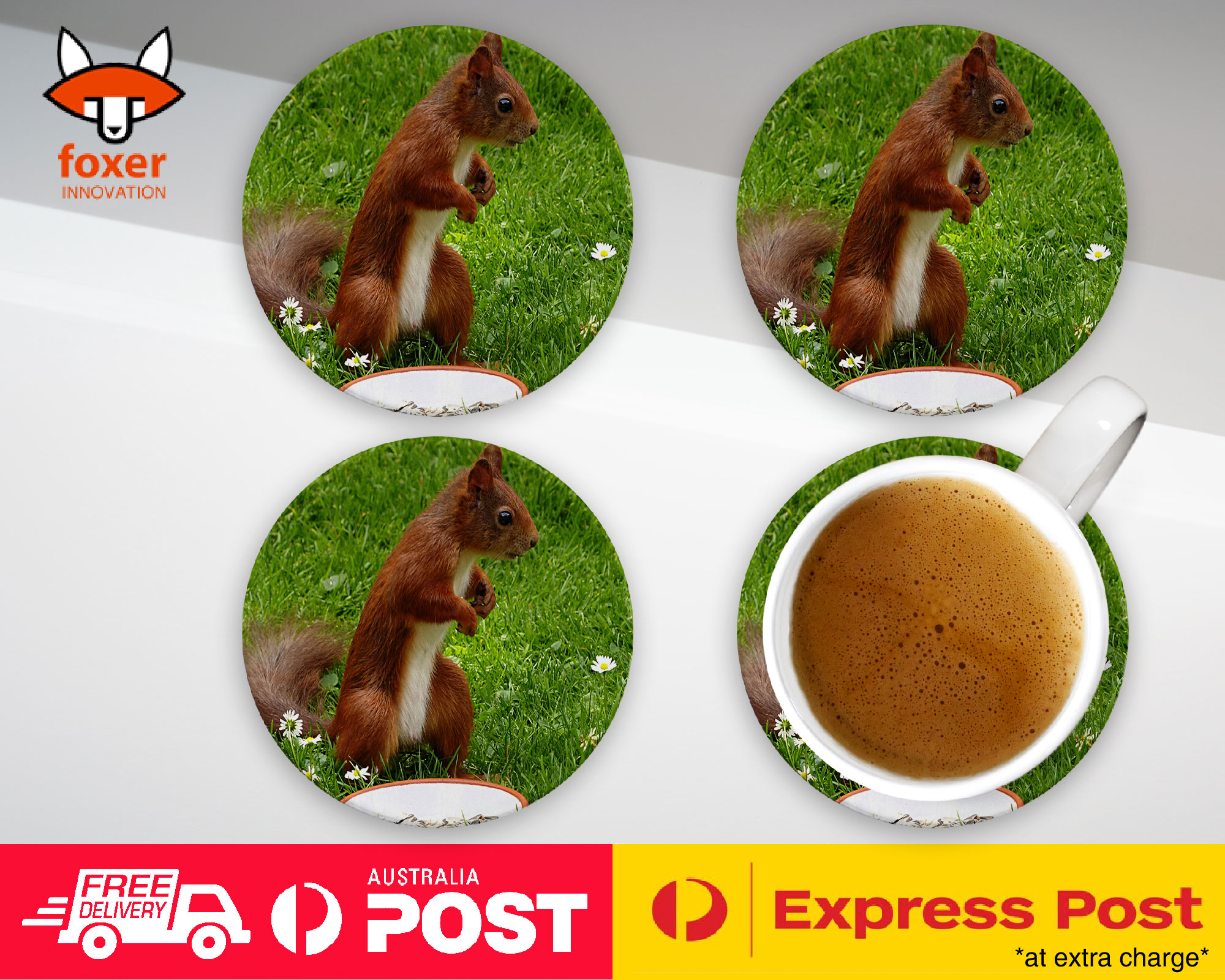 COASTER COFFEE DRINKING MAT|CUTE ADORABLE SQUIRREL RODENT #8