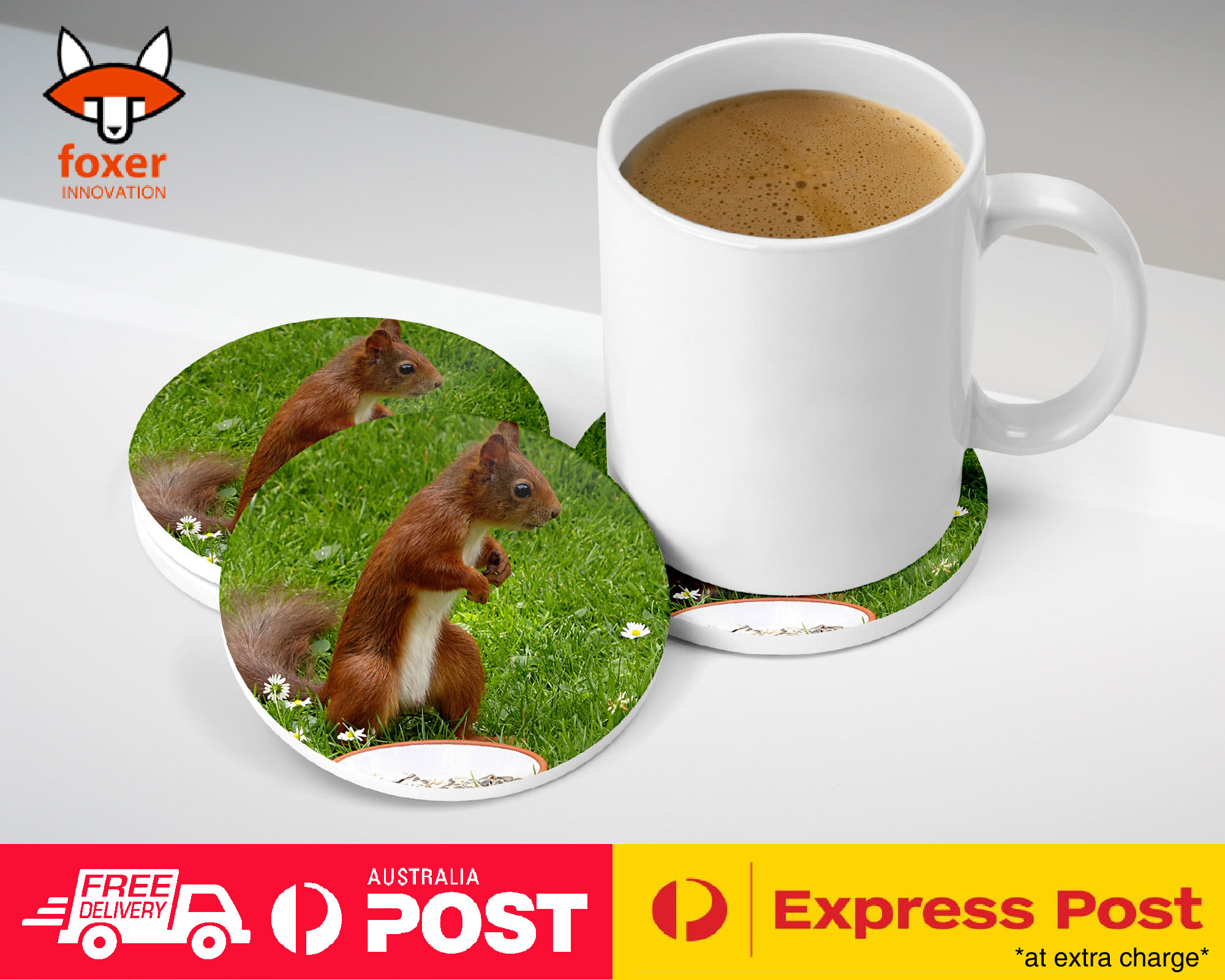 COASTER COFFEE DRINKING MAT|CUTE ADORABLE SQUIRREL RODENT #8