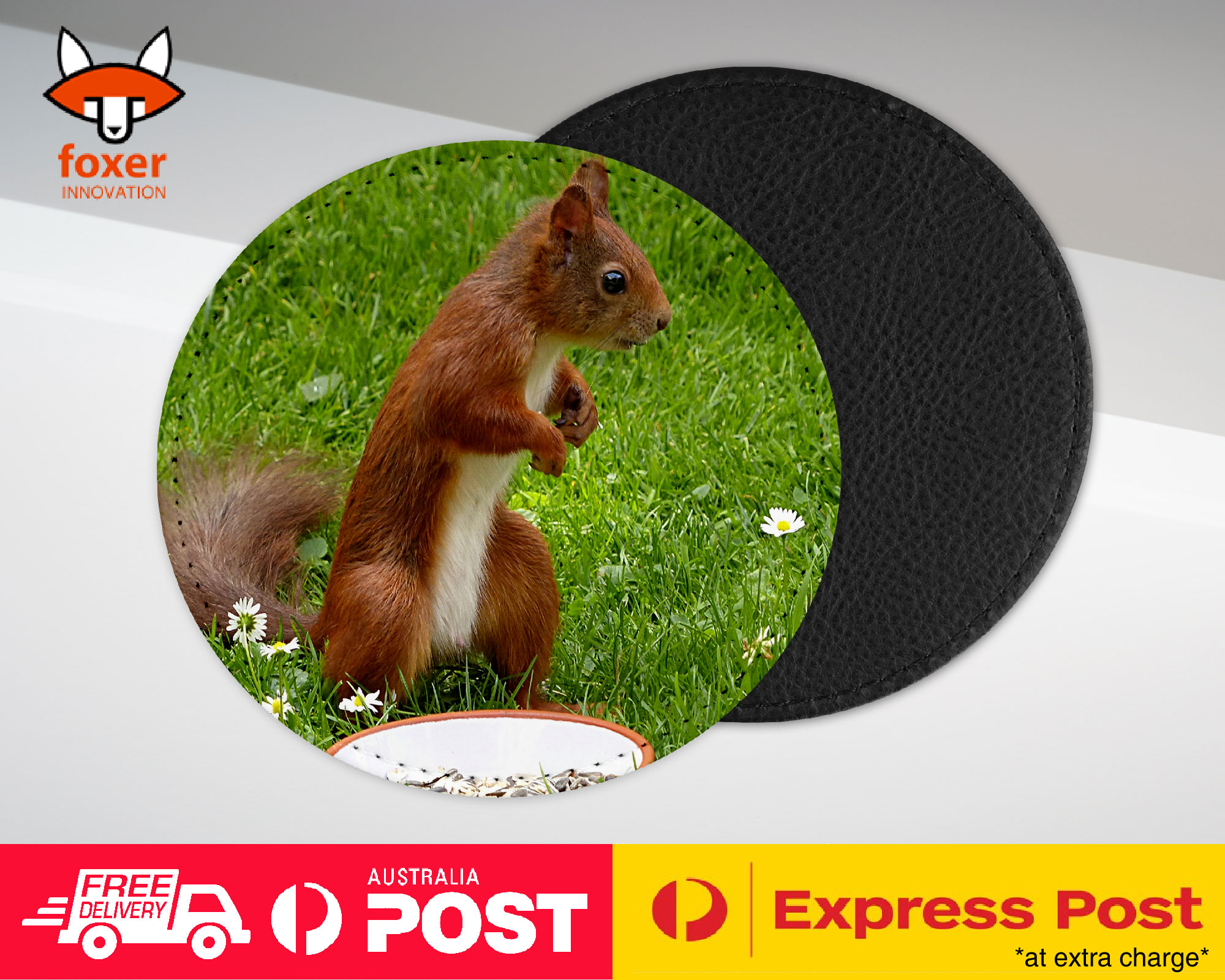 COASTER COFFEE DRINKING MAT|CUTE ADORABLE SQUIRREL RODENT #8