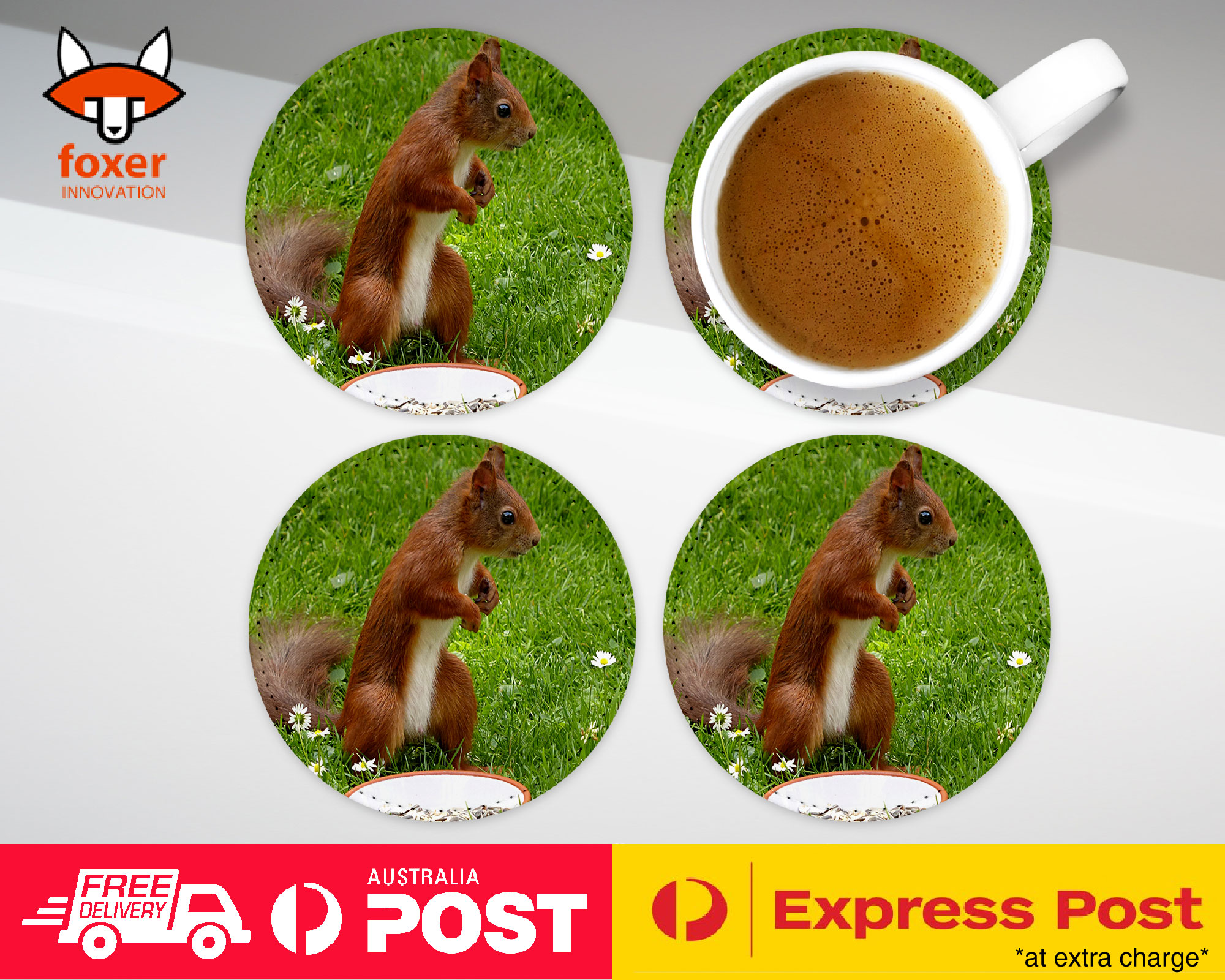 COASTER COFFEE DRINKING MAT|CUTE ADORABLE SQUIRREL RODENT #8