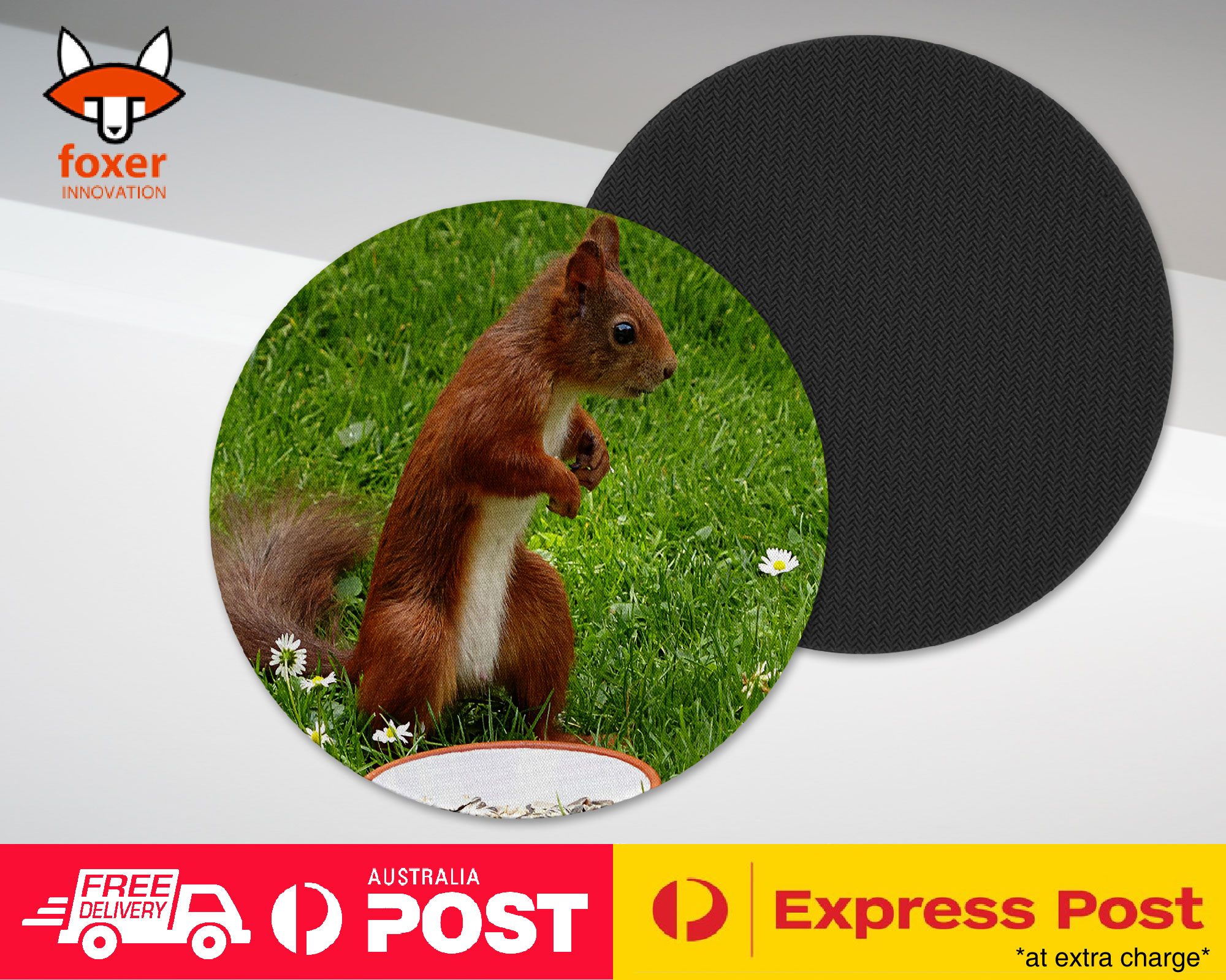 COASTER COFFEE DRINKING MAT|CUTE ADORABLE SQUIRREL RODENT #8