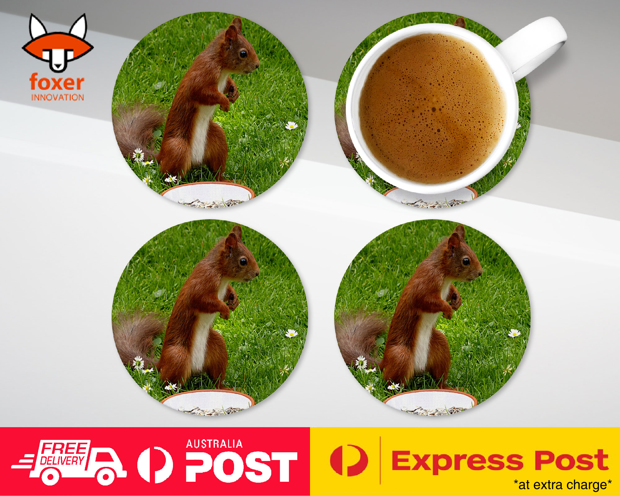 COASTER COFFEE DRINKING MAT|CUTE ADORABLE SQUIRREL RODENT #8