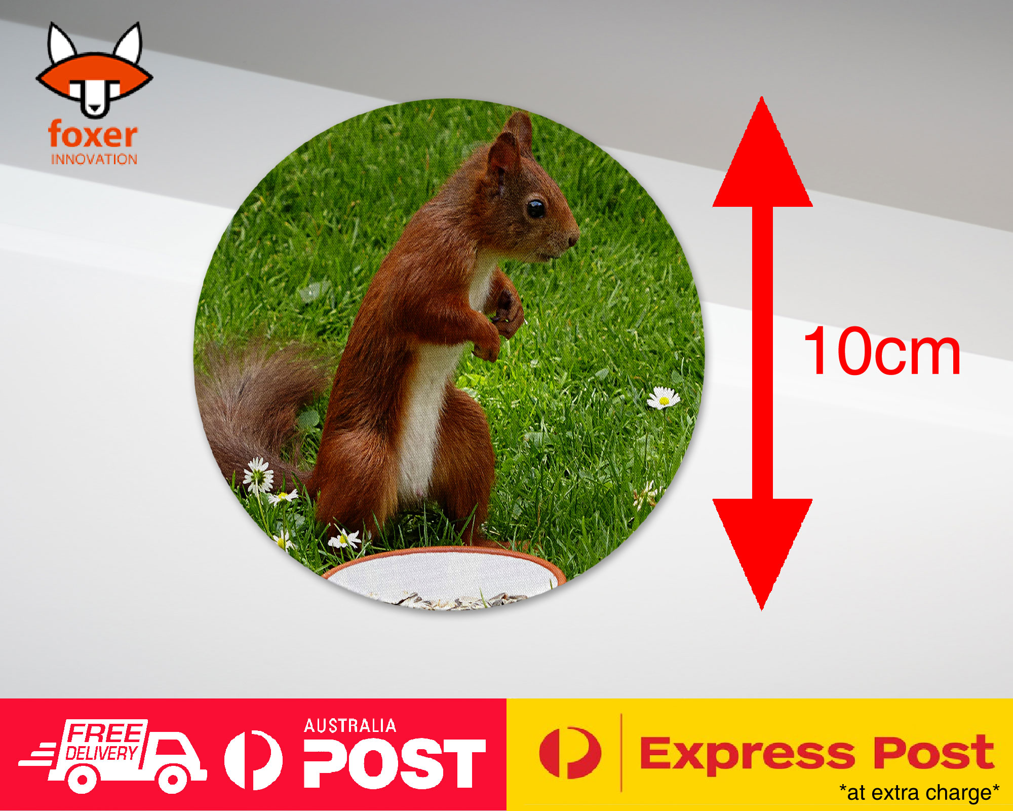 COASTER COFFEE DRINKING MAT|CUTE ADORABLE SQUIRREL RODENT #8
