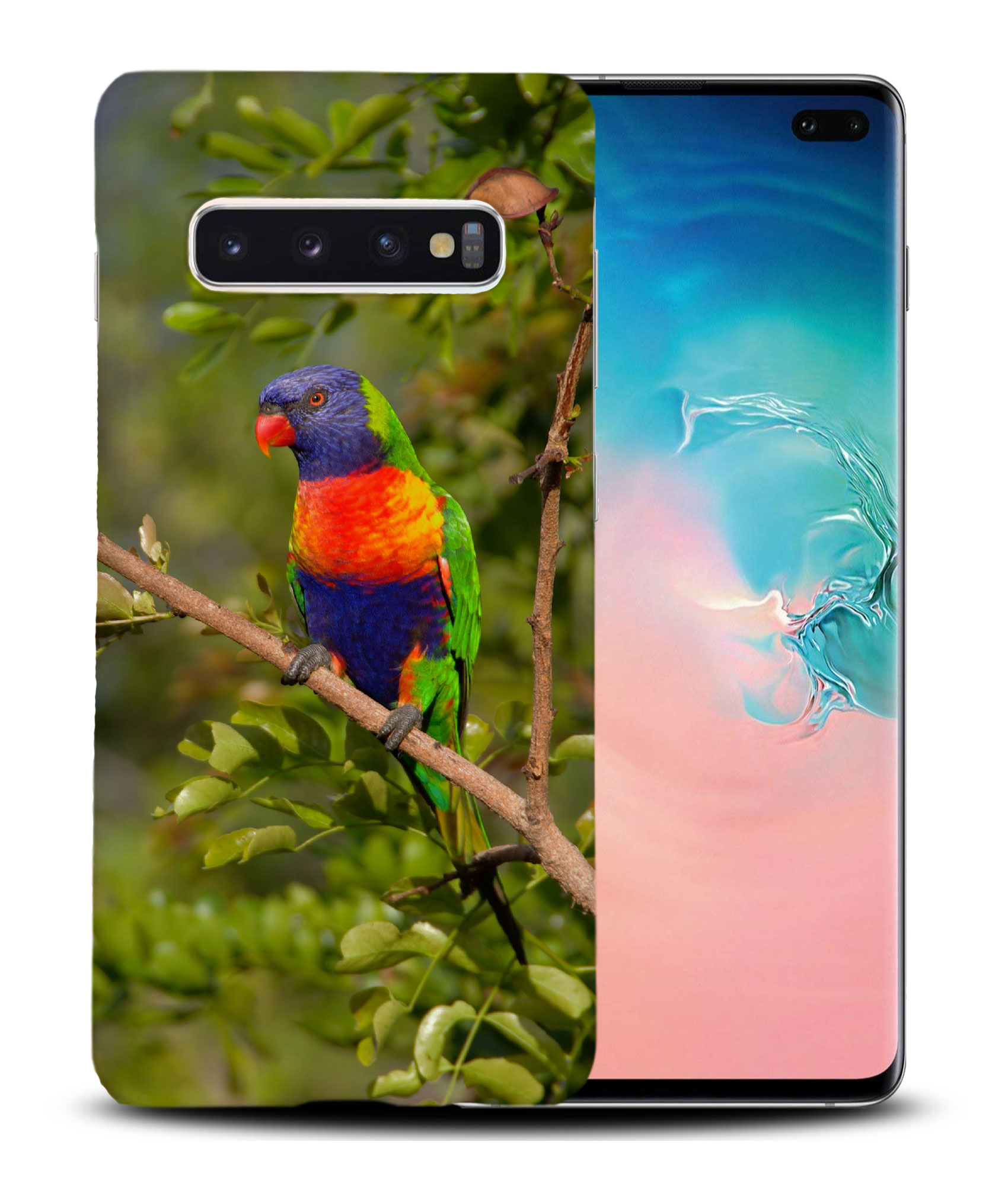 CASE COVER FOR SAMSUNG GALAXY|RAINBOW LORIKEET AUSTRALIAN BIRD - Picture 19 of 25