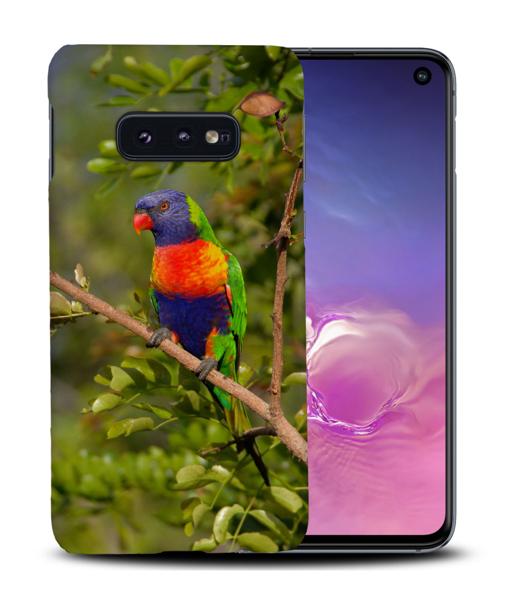 CASE COVER FOR SAMSUNG GALAXY|RAINBOW LORIKEET AUSTRALIAN BIRD - Picture 18 of 25