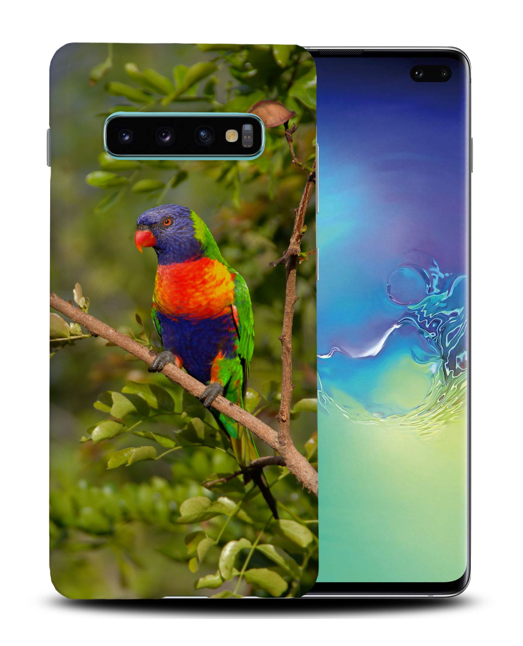 CASE COVER FOR SAMSUNG GALAXY|RAINBOW LORIKEET AUSTRALIAN BIRD - Picture 17 of 25