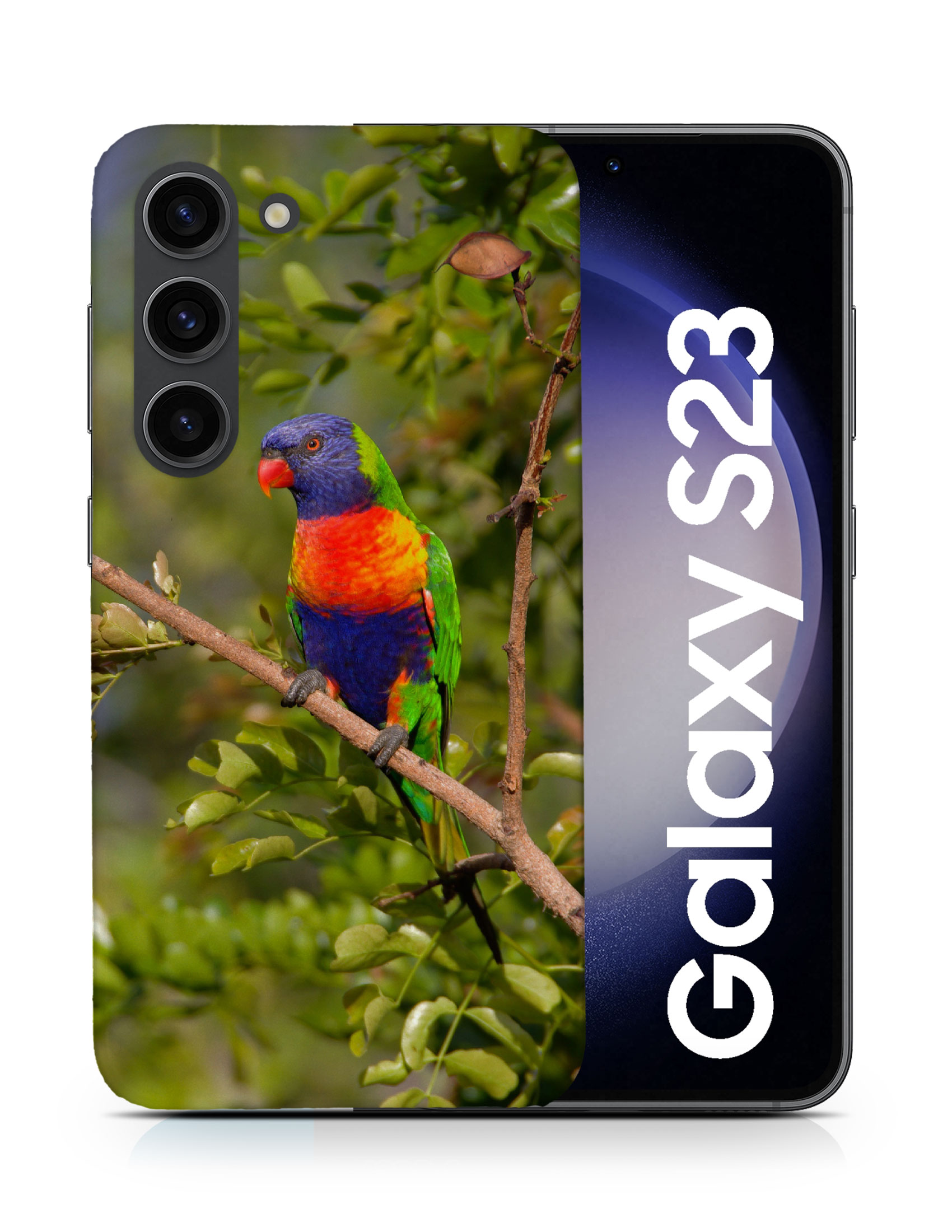 CASE COVER FOR SAMSUNG GALAXY|RAINBOW LORIKEET AUSTRALIAN BIRD - Picture 7 of 25